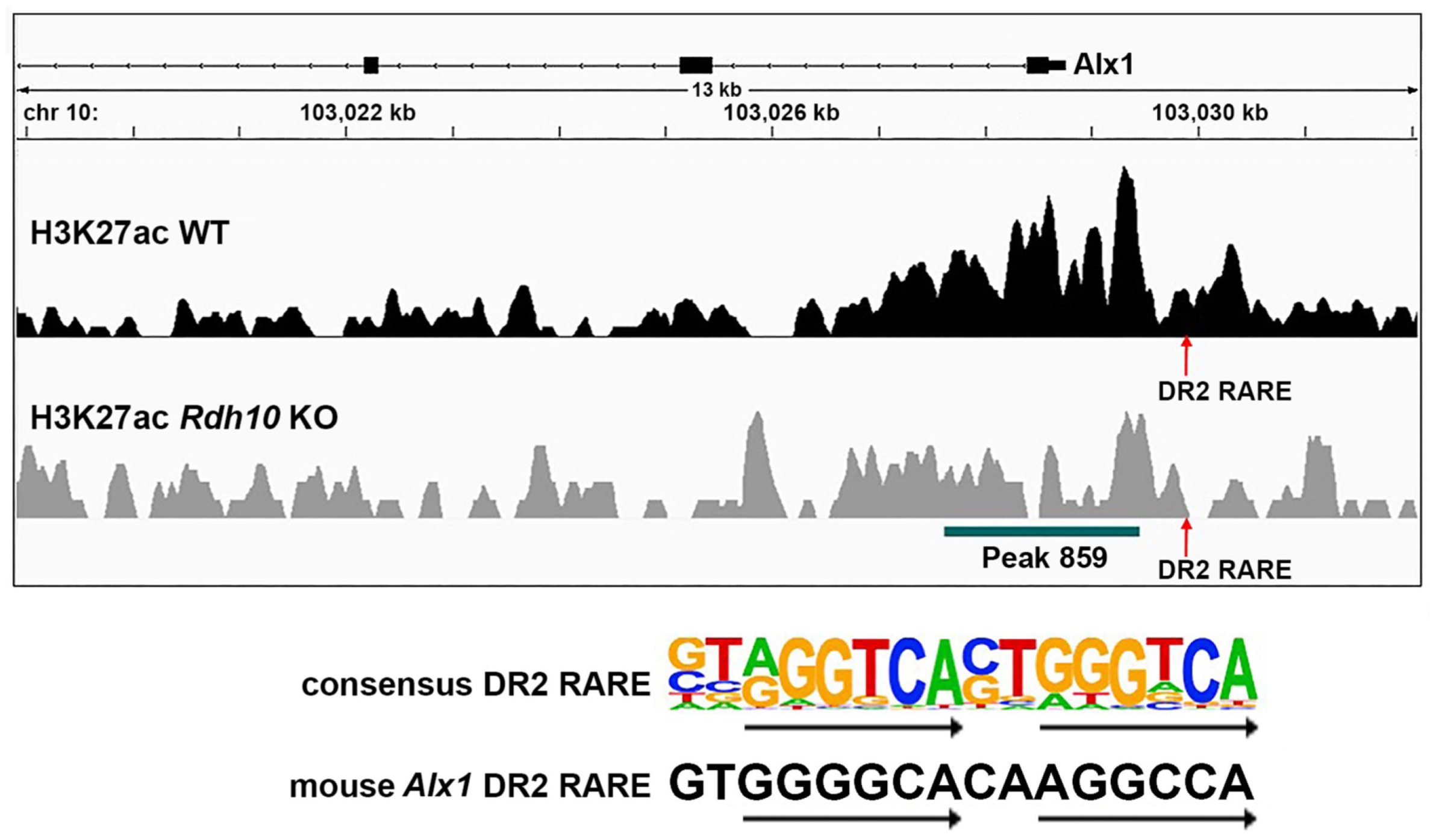 Genes 16 01071 g004
