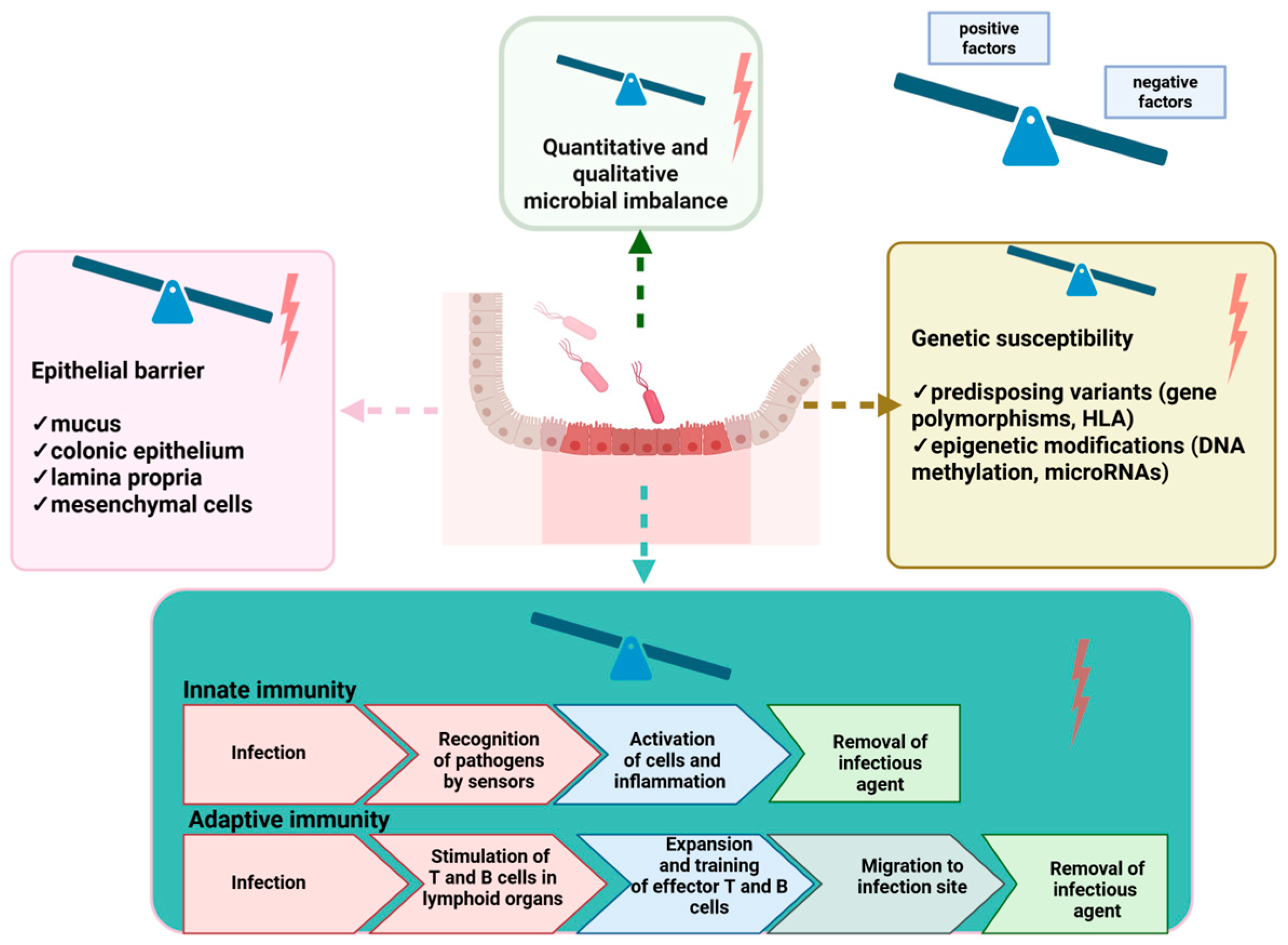 Genes 16 01085 g001