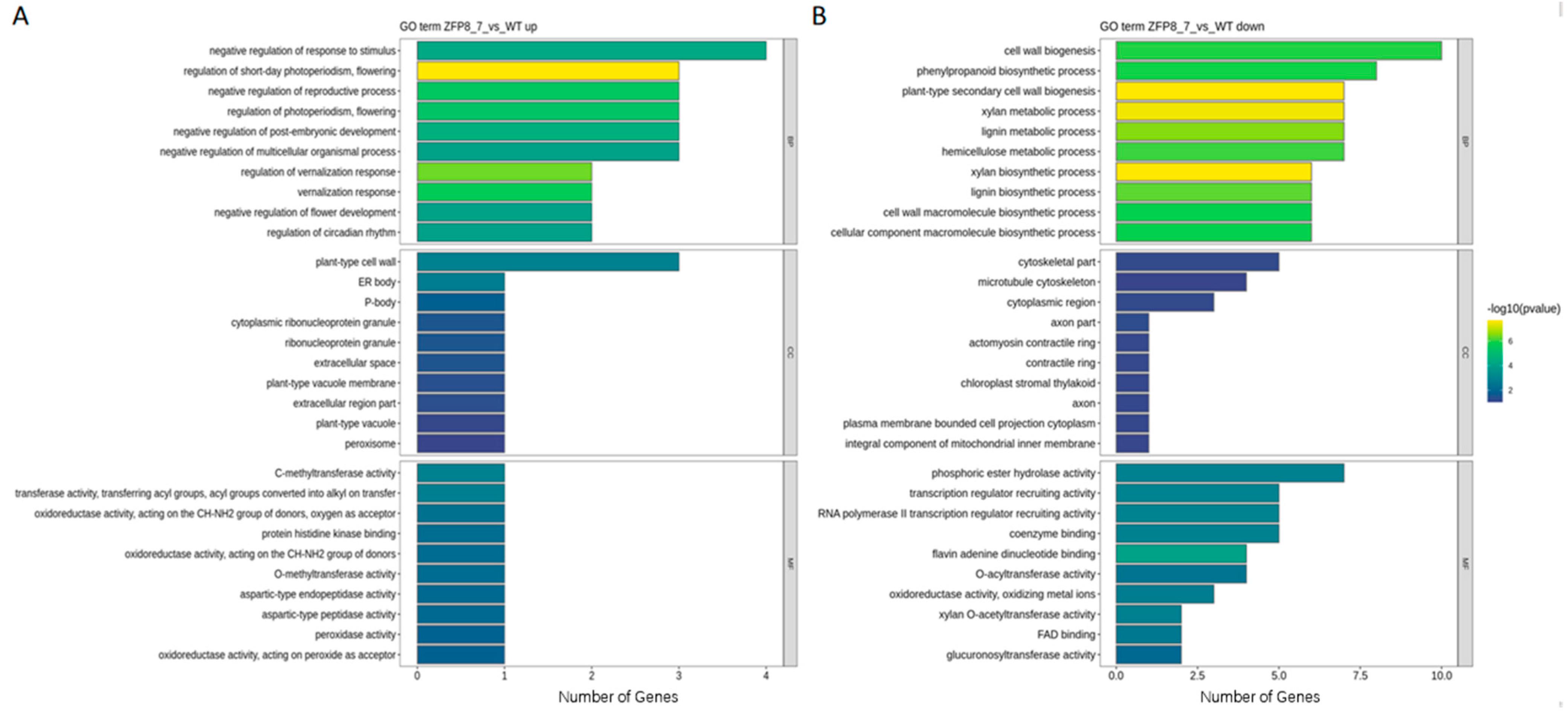 Phenotypic and Transcriptomic Analyses of Transgenic Arabidopsis ...
