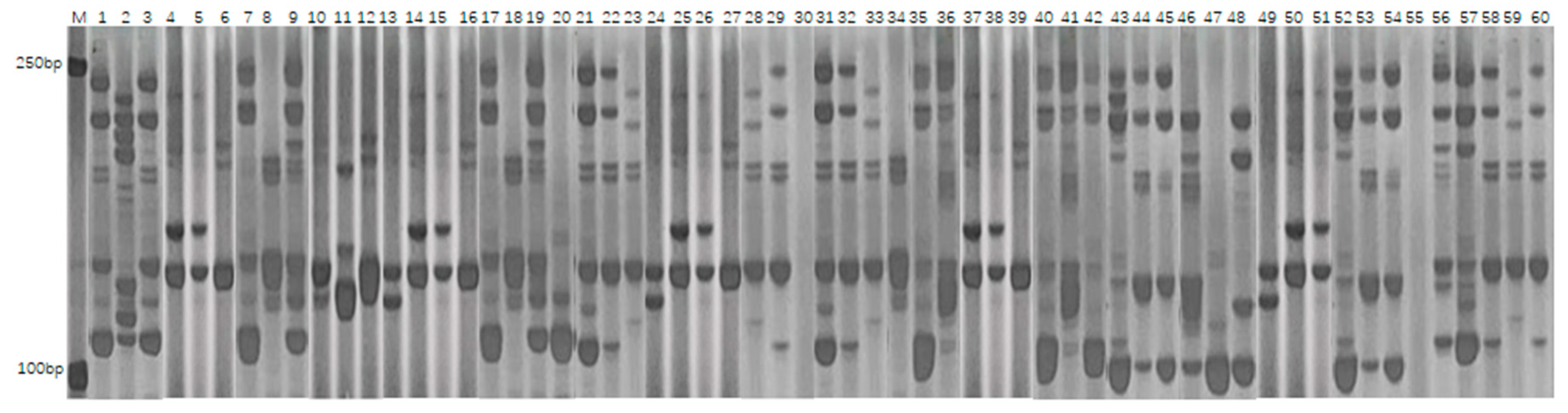 Genes 16 01138 g002 Genes 16 01138 g002