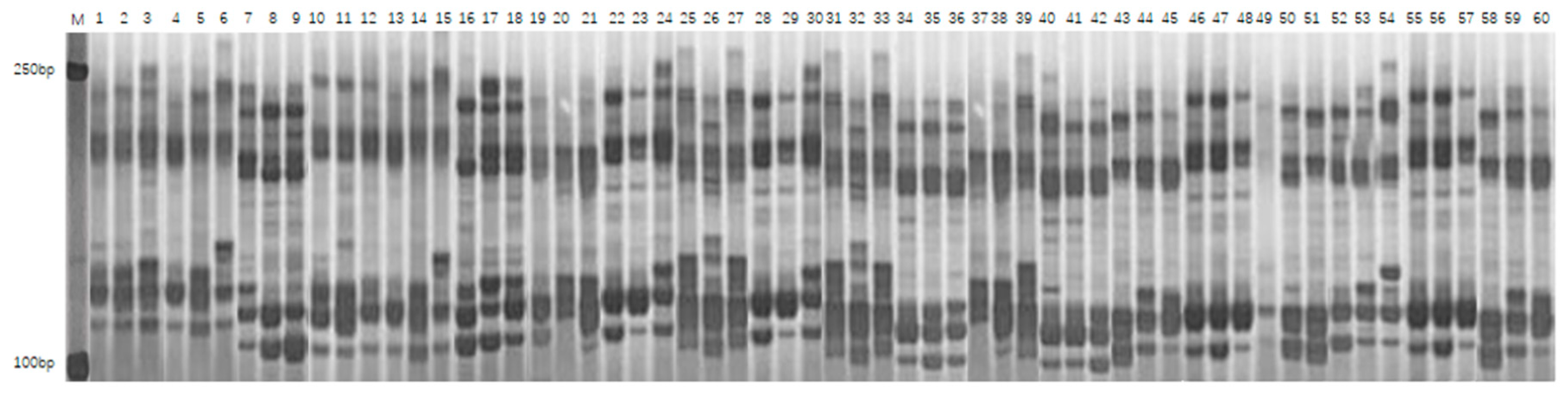 Genes 16 01138 g003 Genes 16 01138 g003