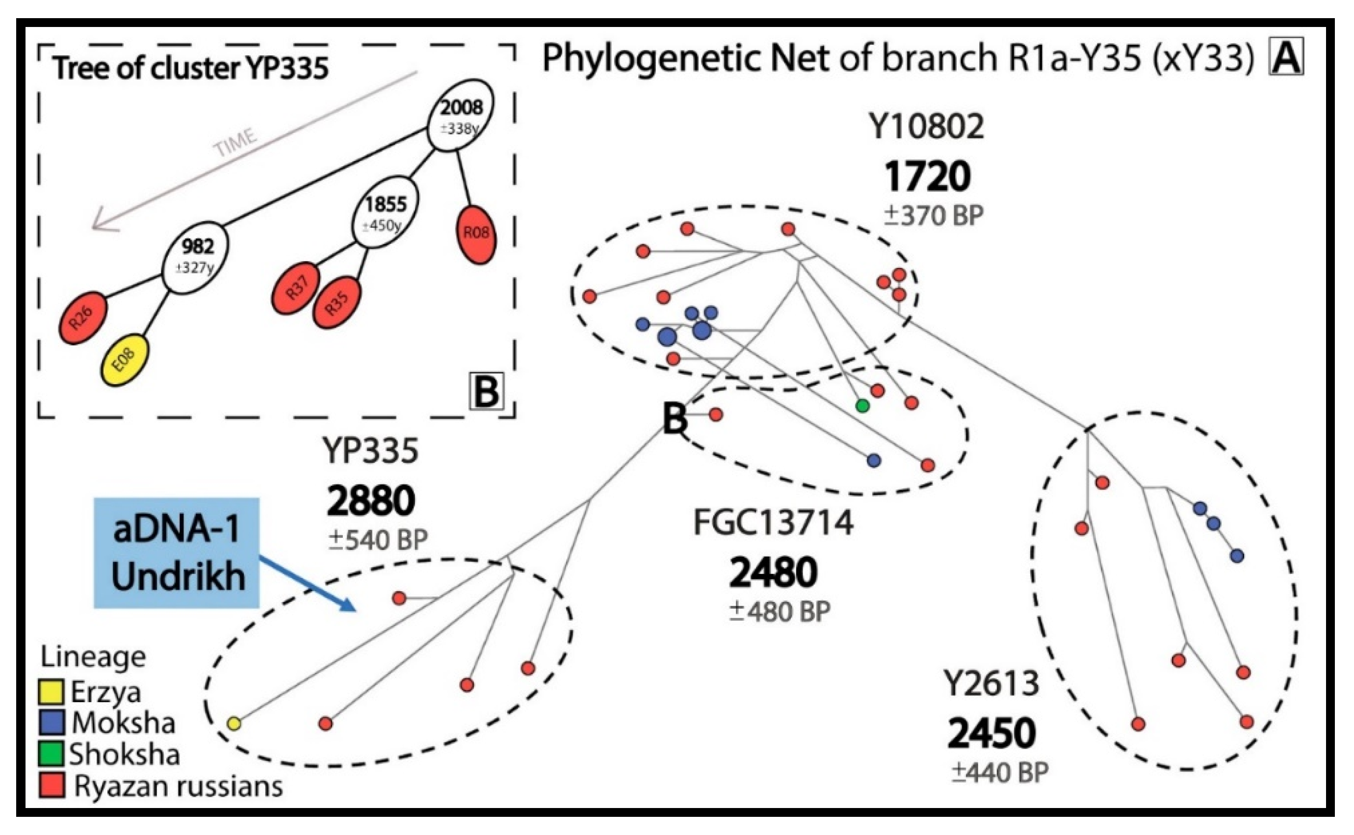 Genes 16 01149 g002