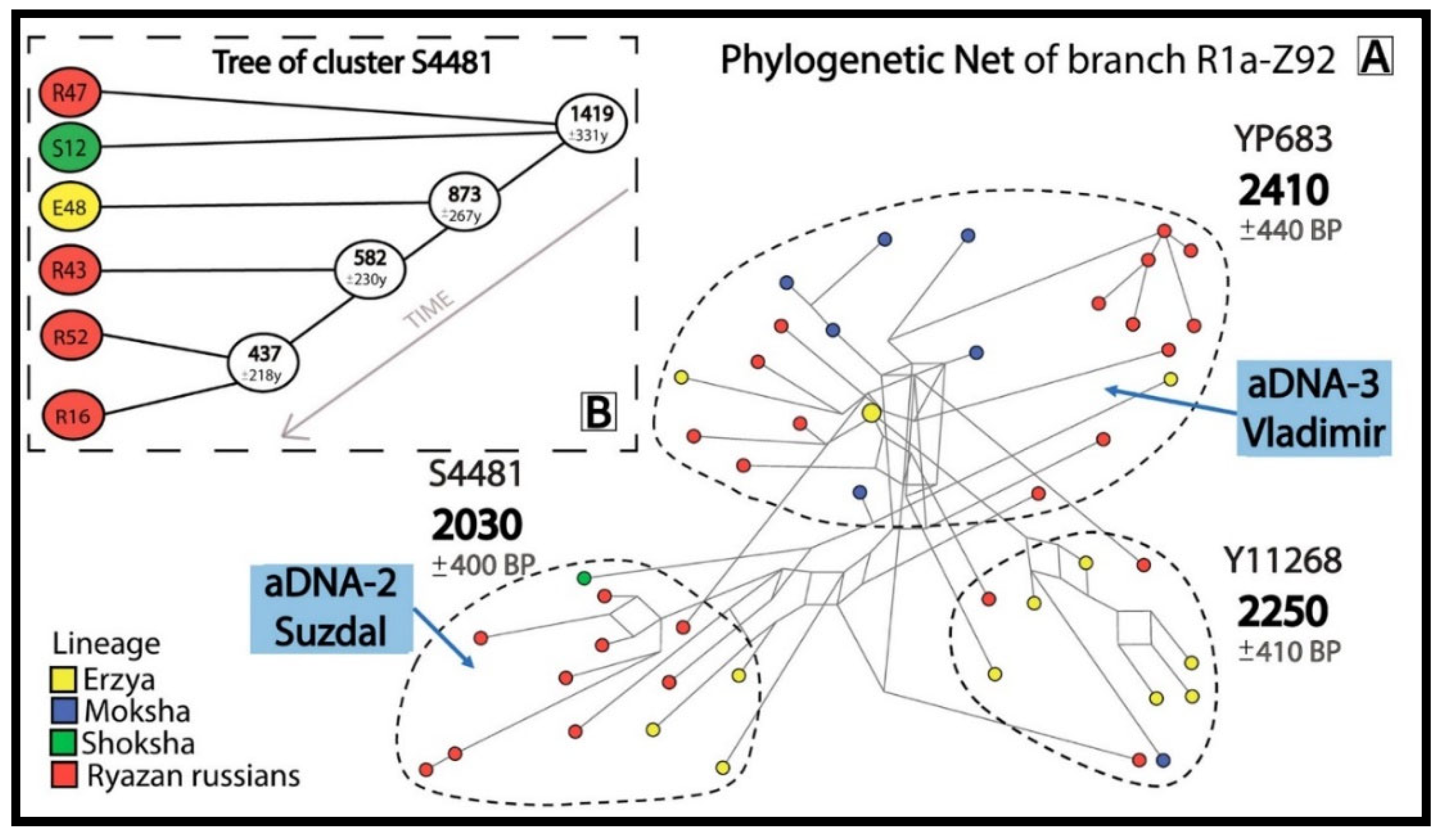Genes 16 01149 g003