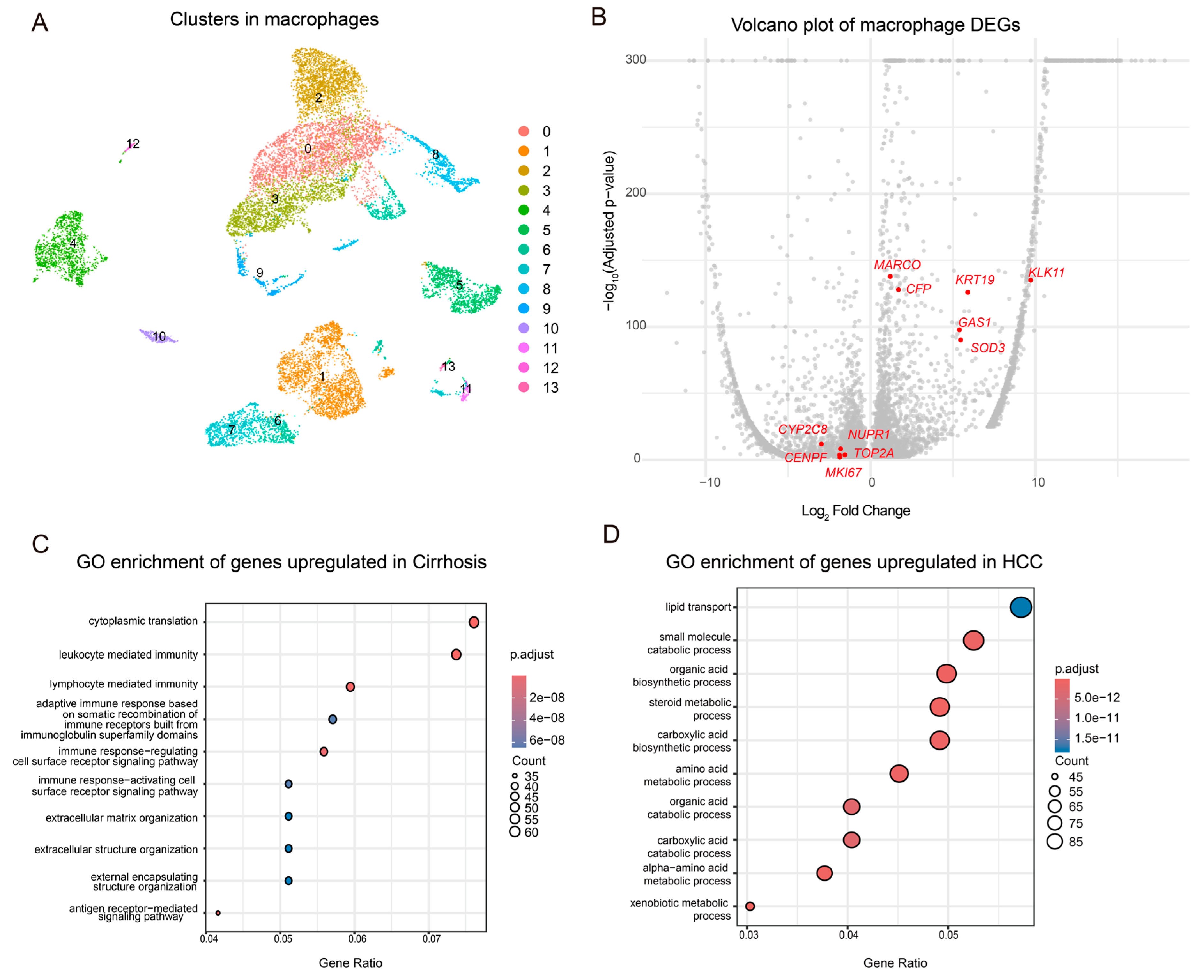 Genes 16 01213 g002 Genes 16 01213 g002