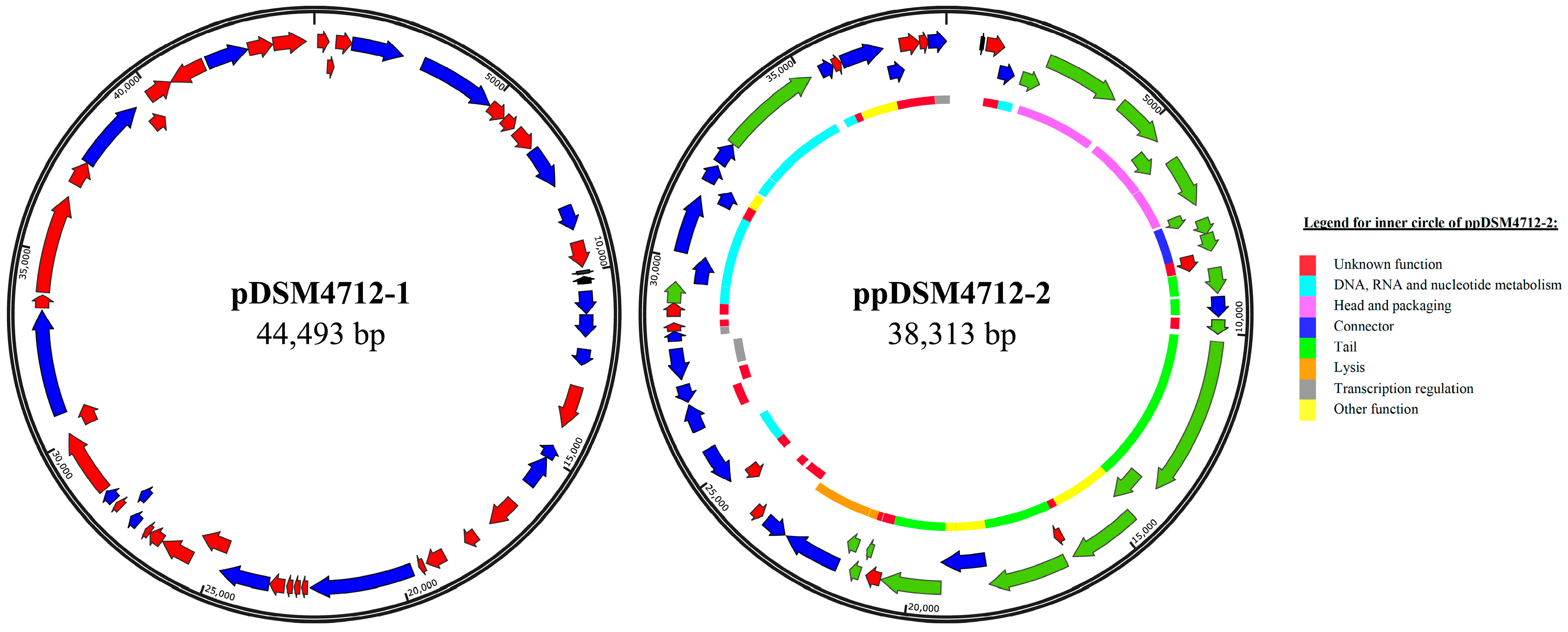 Genes 16 01218 g001 Genes 16 01218 g001