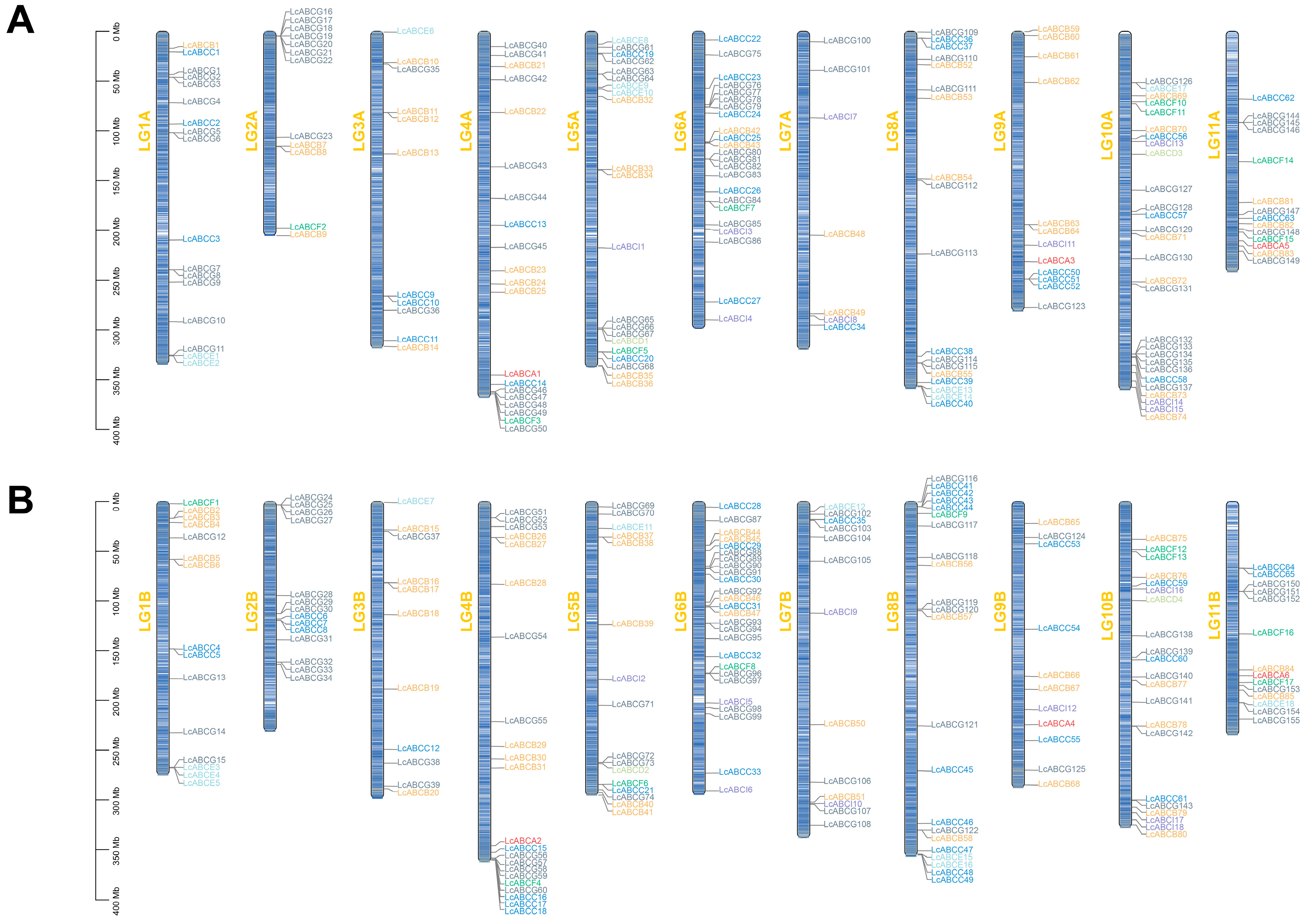 Genes 16 01235 g001 Genes 16 01235 g001