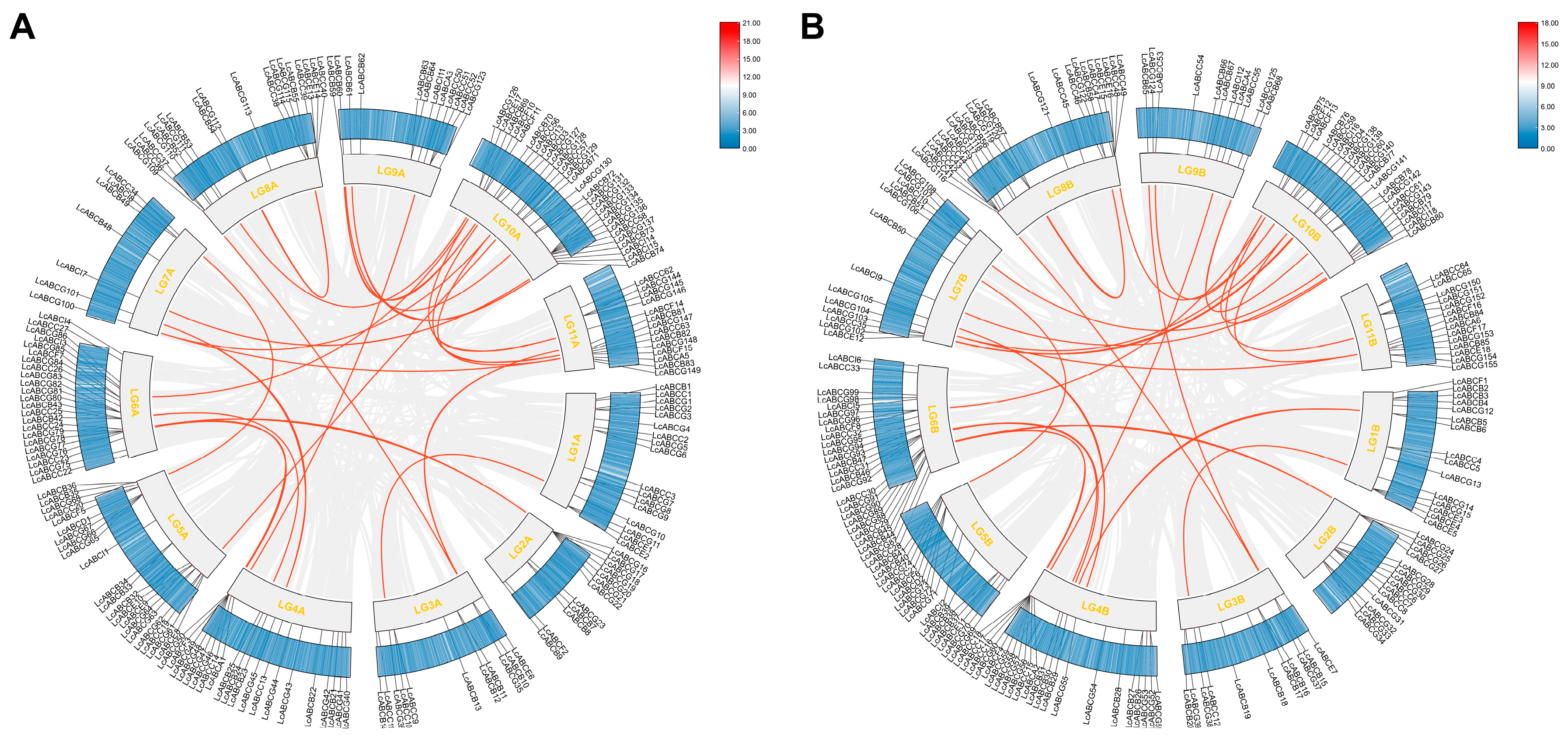 Genes 16 01235 g002 Genes 16 01235 g002