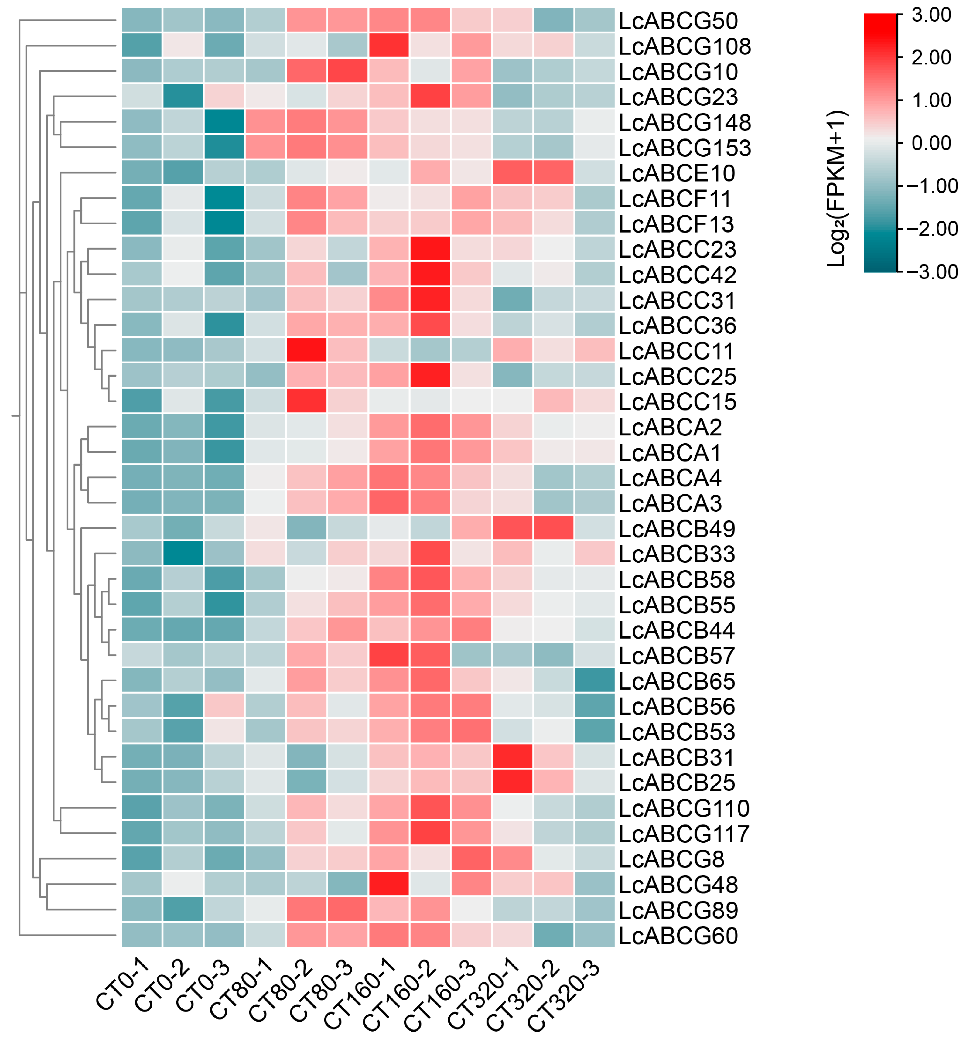 Genes 16 01235 g004 Genes 16 01235 g004
