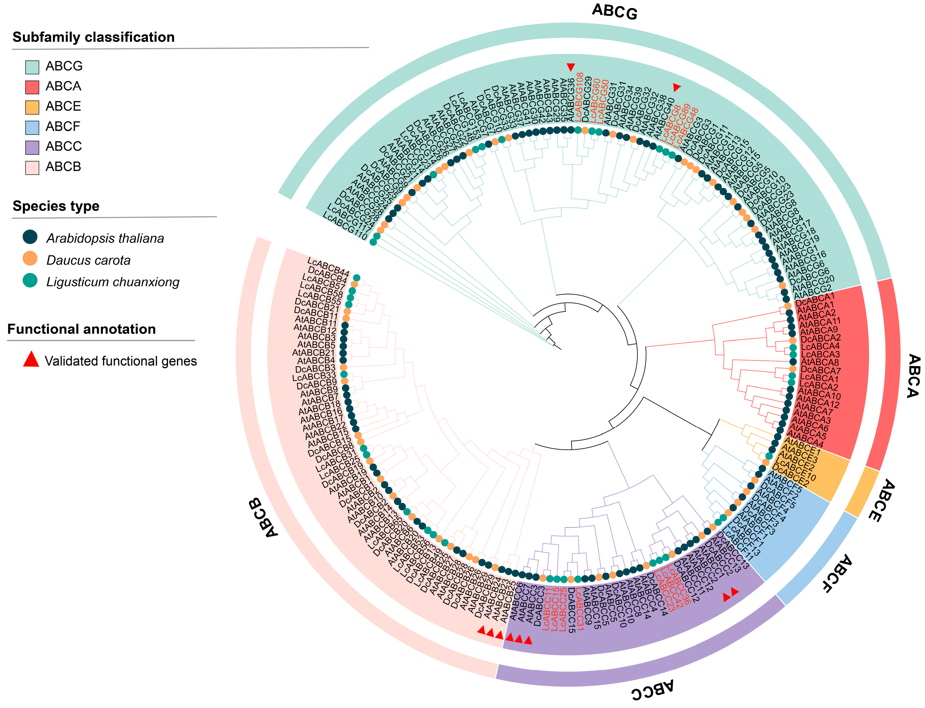 Genes 16 01235 g006 Genes 16 01235 g006