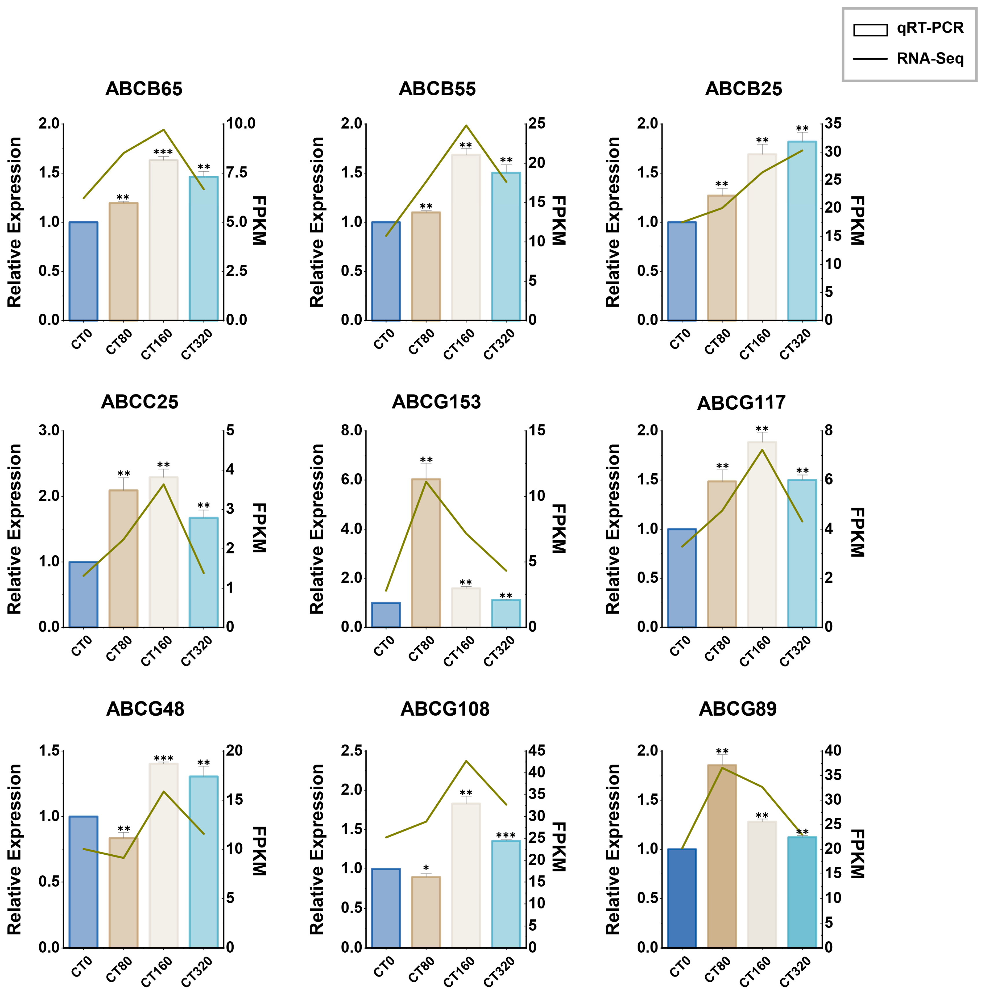 Genes 16 01235 g009 Genes 16 01235 g009