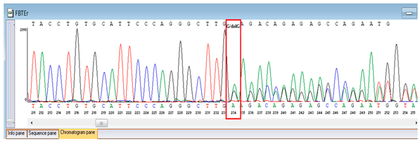 Genes 16 01247 i005 Genes 16 01247 i005