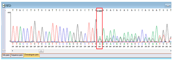 Genes 16 01247 i006 Genes 16 01247 i006
