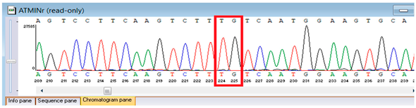 Genes 16 01247 i007 Genes 16 01247 i007