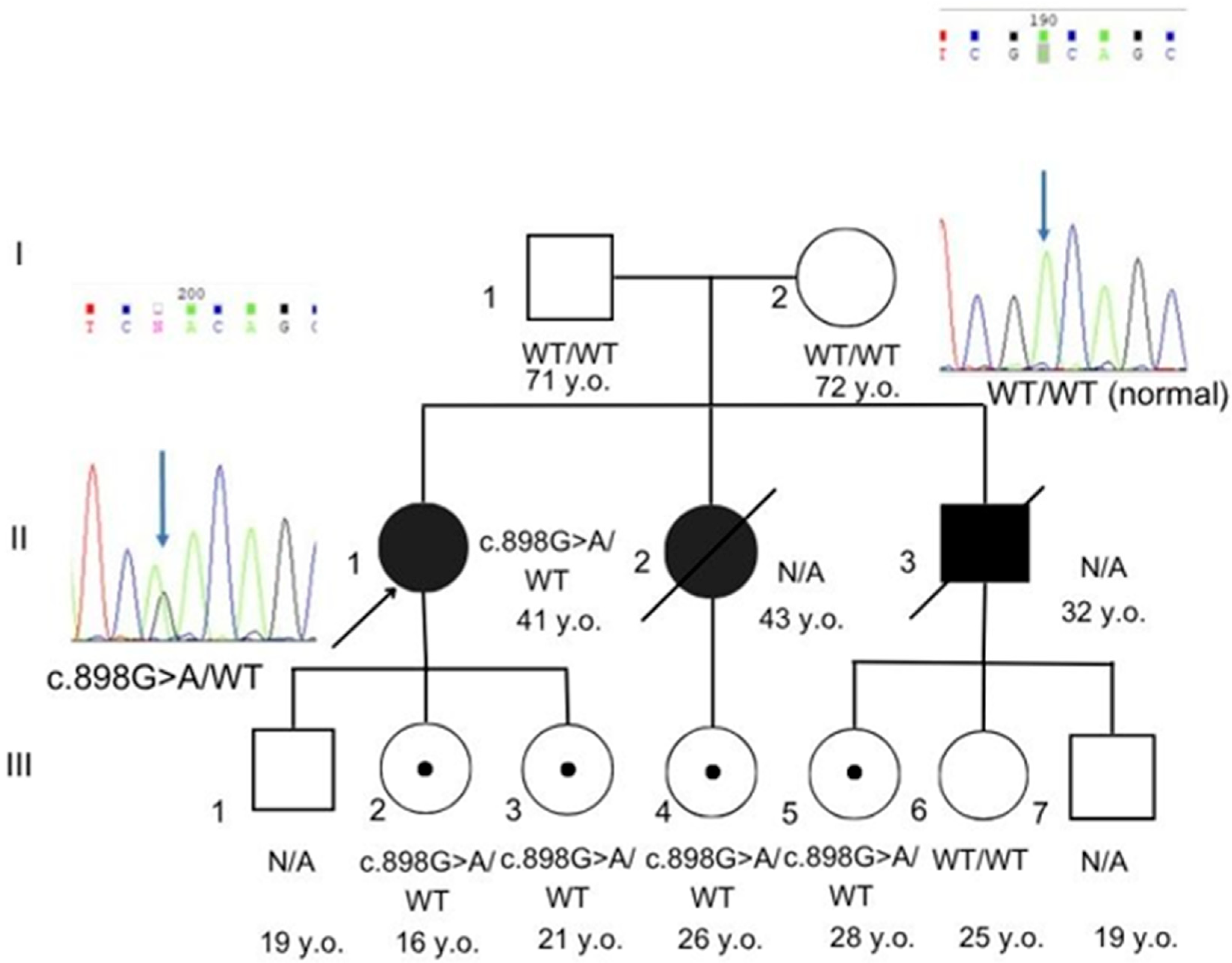 Genes 16 01250 g001