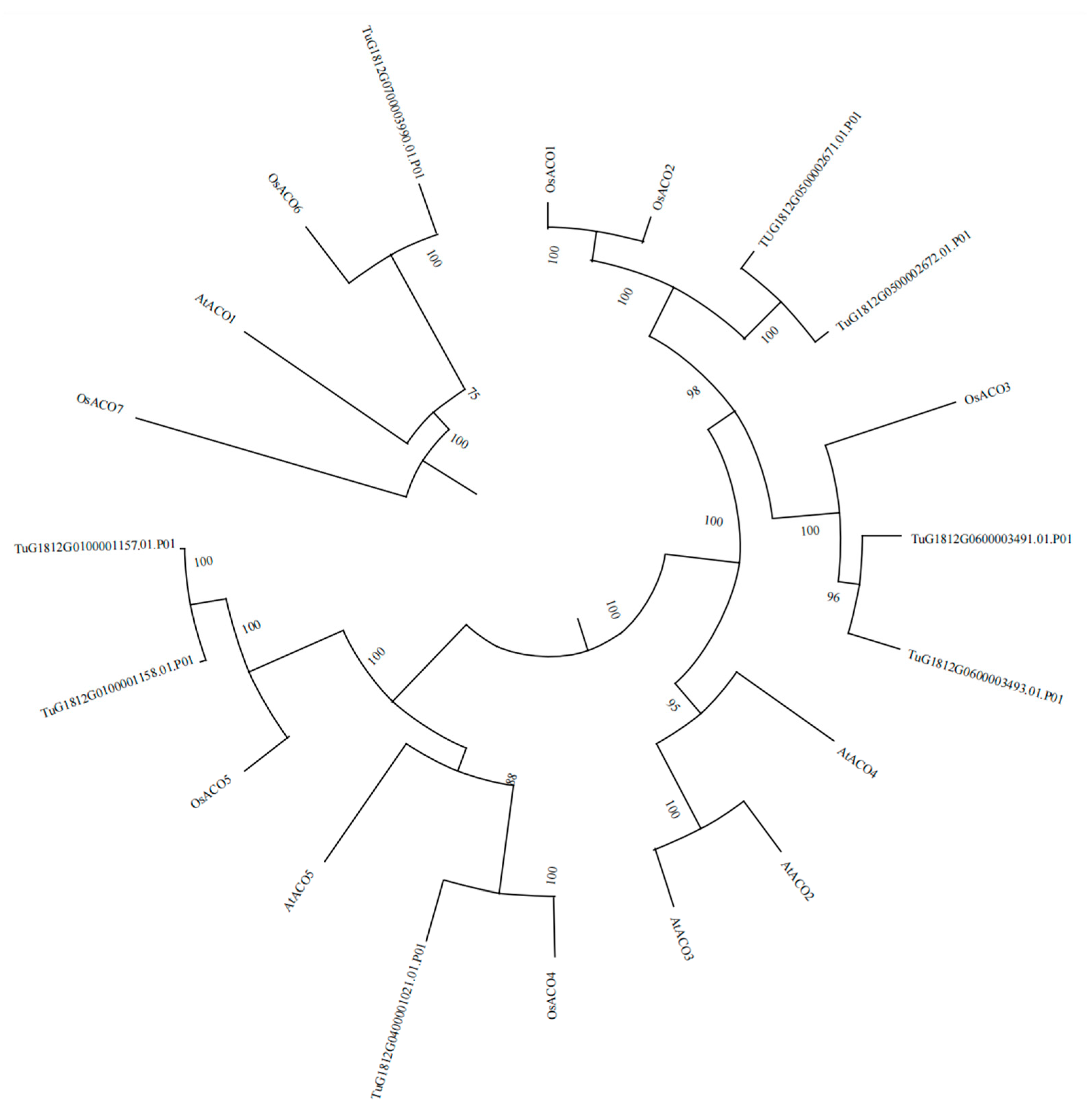Genes 16 01259 g001 Genes 16 01259 g001
