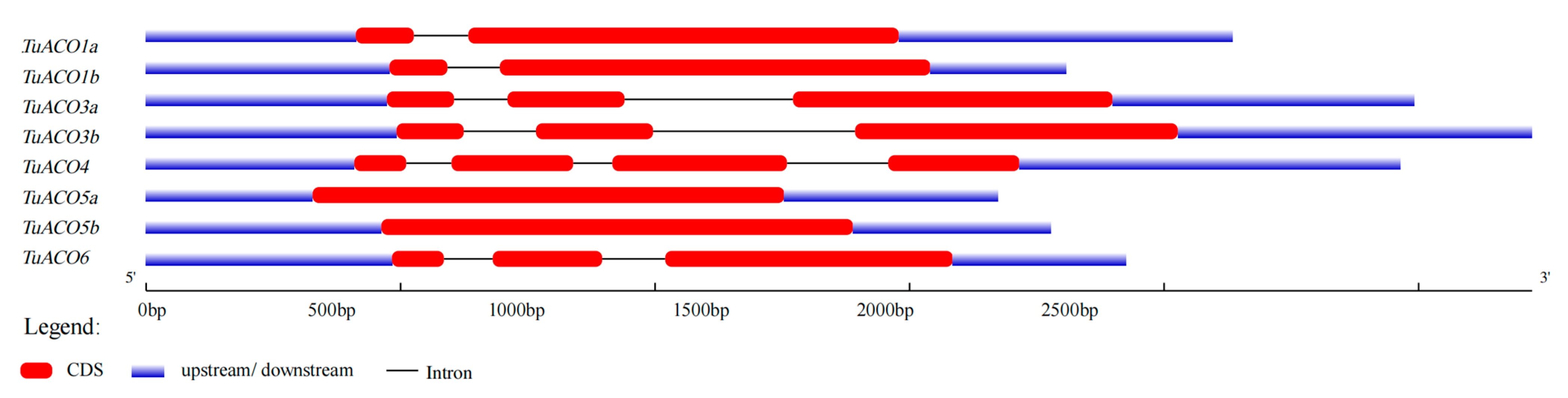 Genes 16 01259 g003 Genes 16 01259 g003