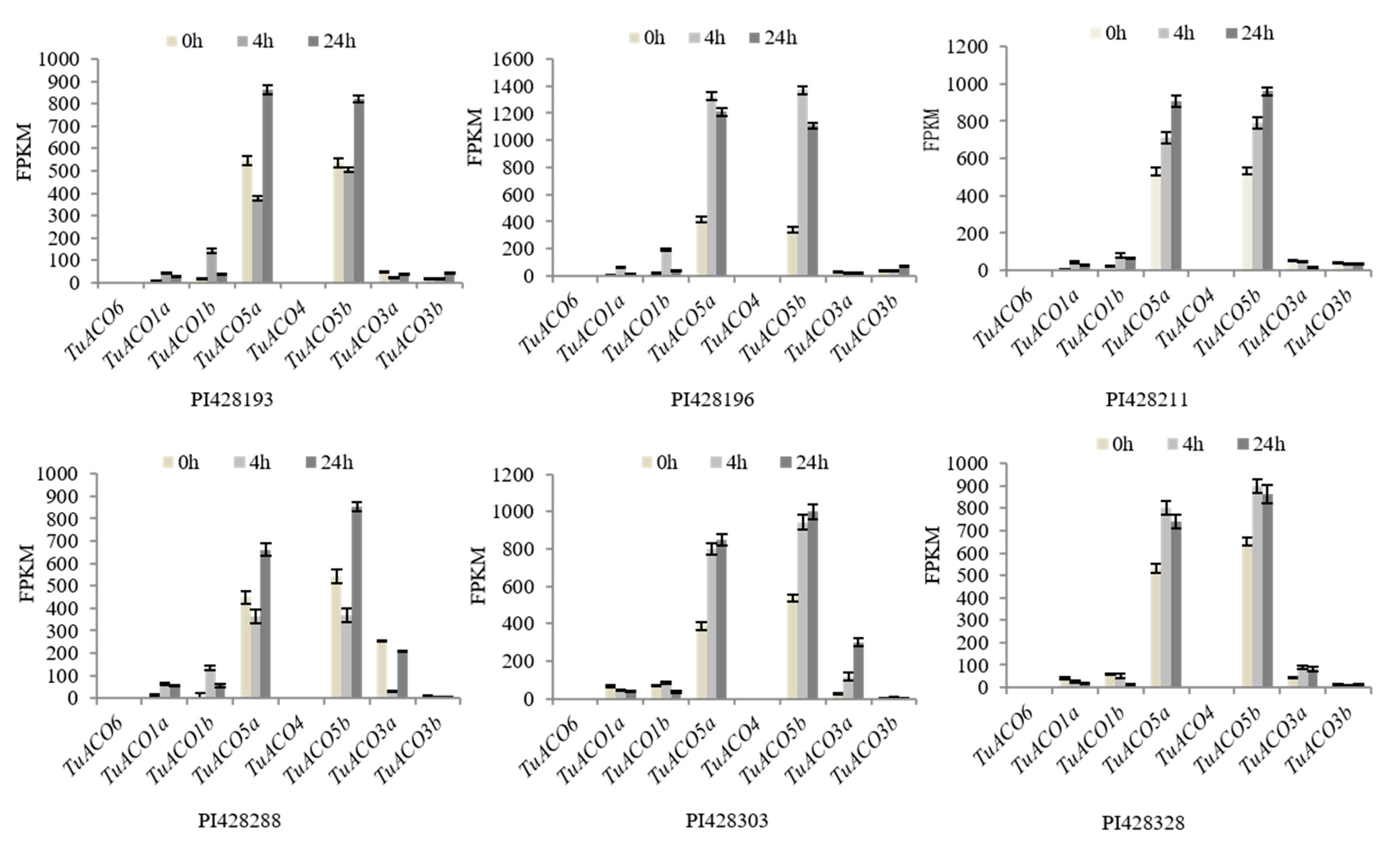 Genes 16 01259 g007 Genes 16 01259 g007