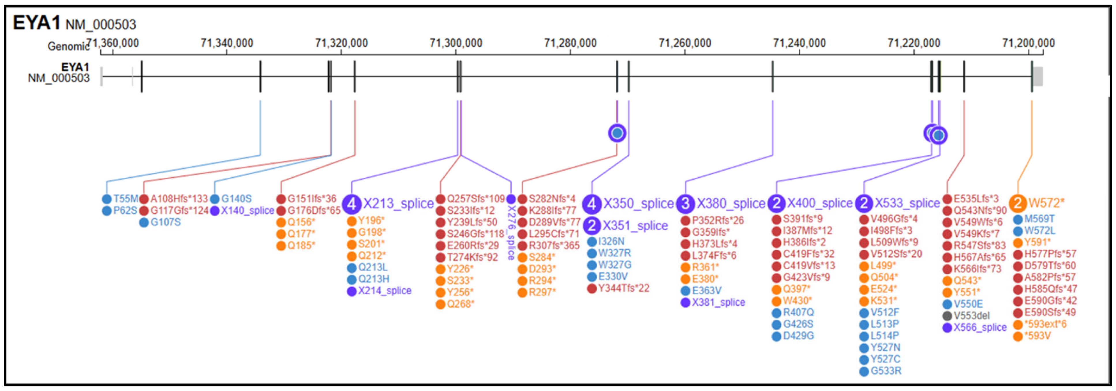Genes 16 01267 g002 Genes 16 01267 g002