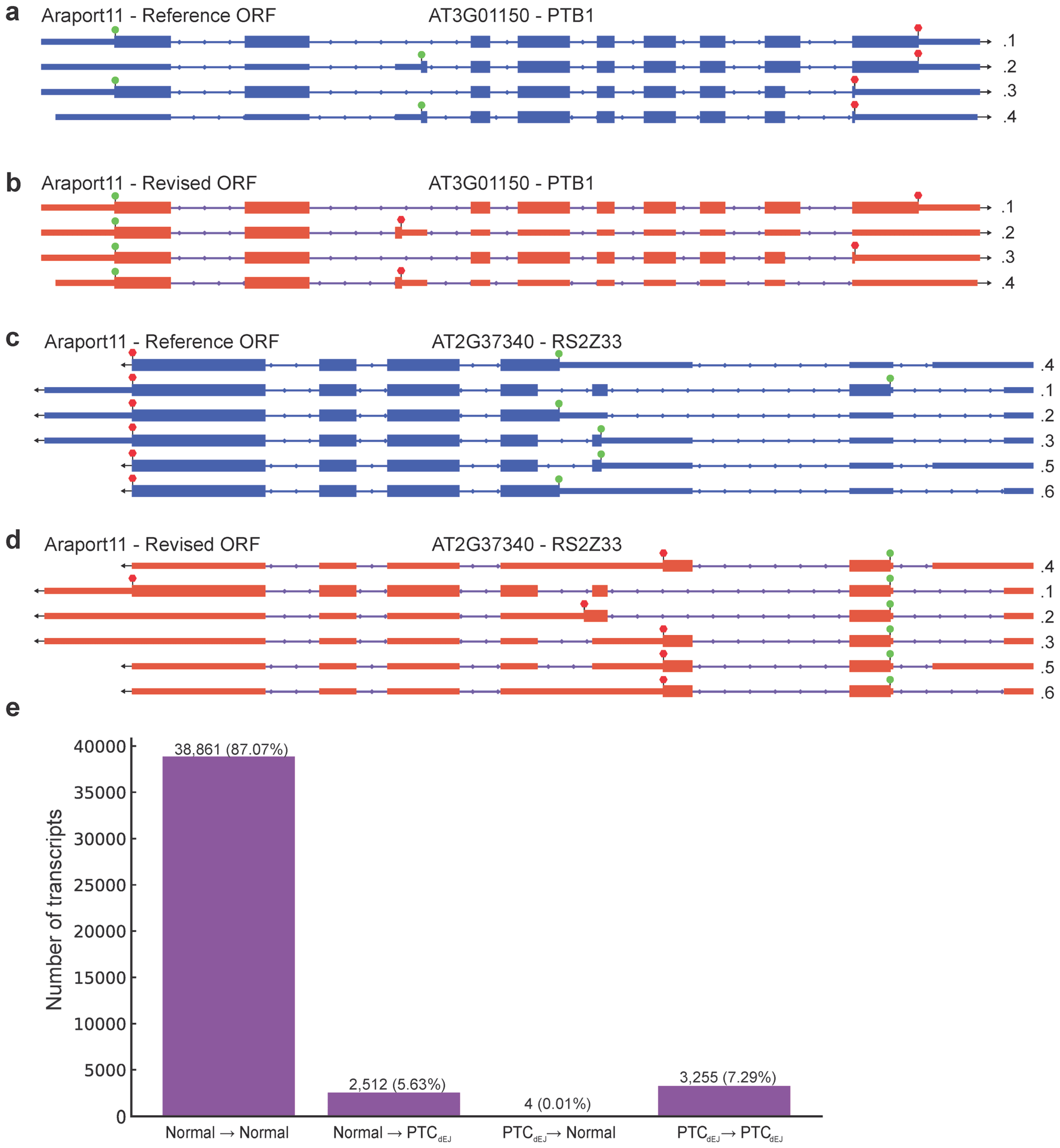 Genes 16 01297 g001 Genes 16 01297 g001