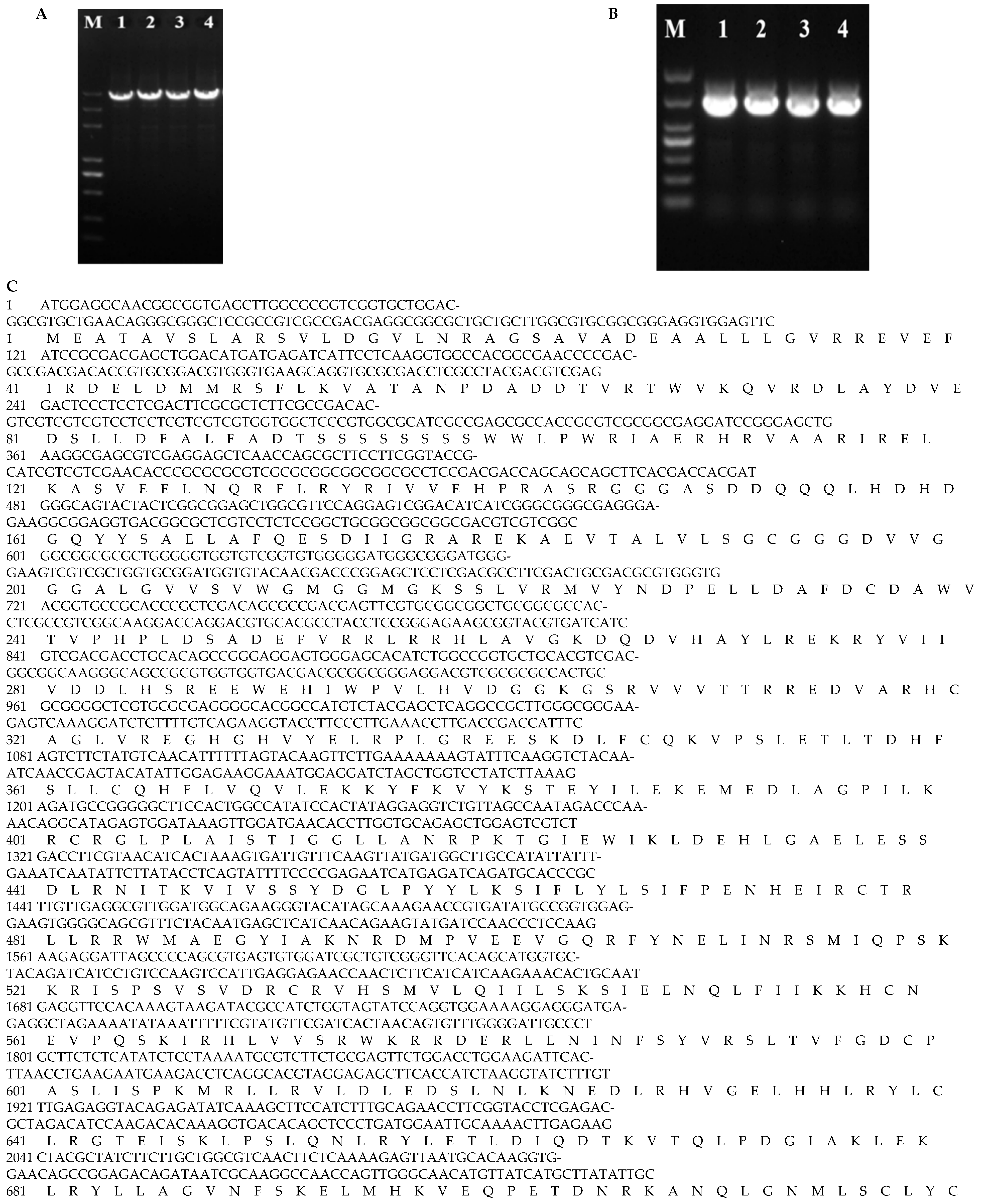 Genes 16 01321 g001a Genes 16 01321 g001a