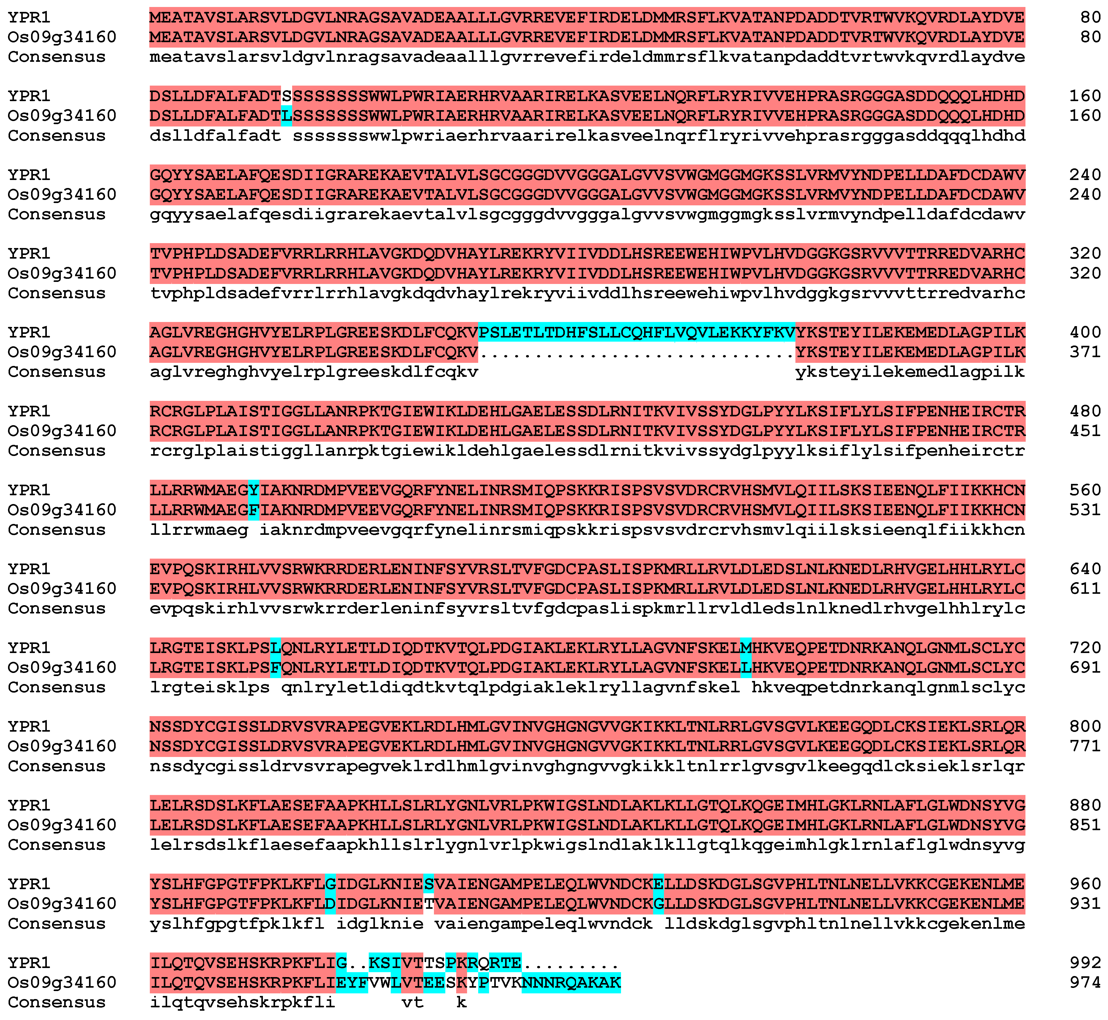 Genes 16 01321 g003 Genes 16 01321 g003