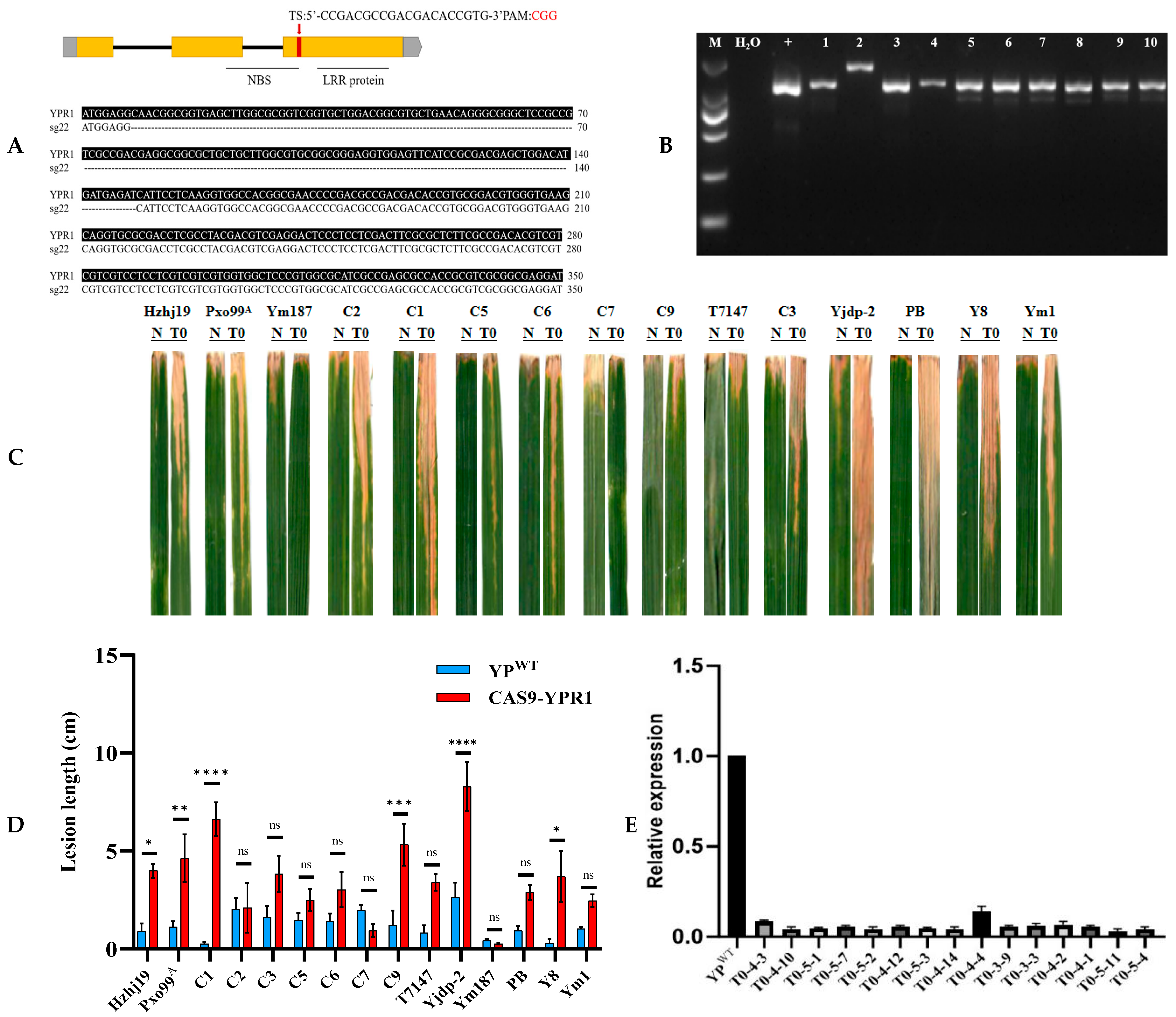 Genes 16 01321 g006 Genes 16 01321 g006