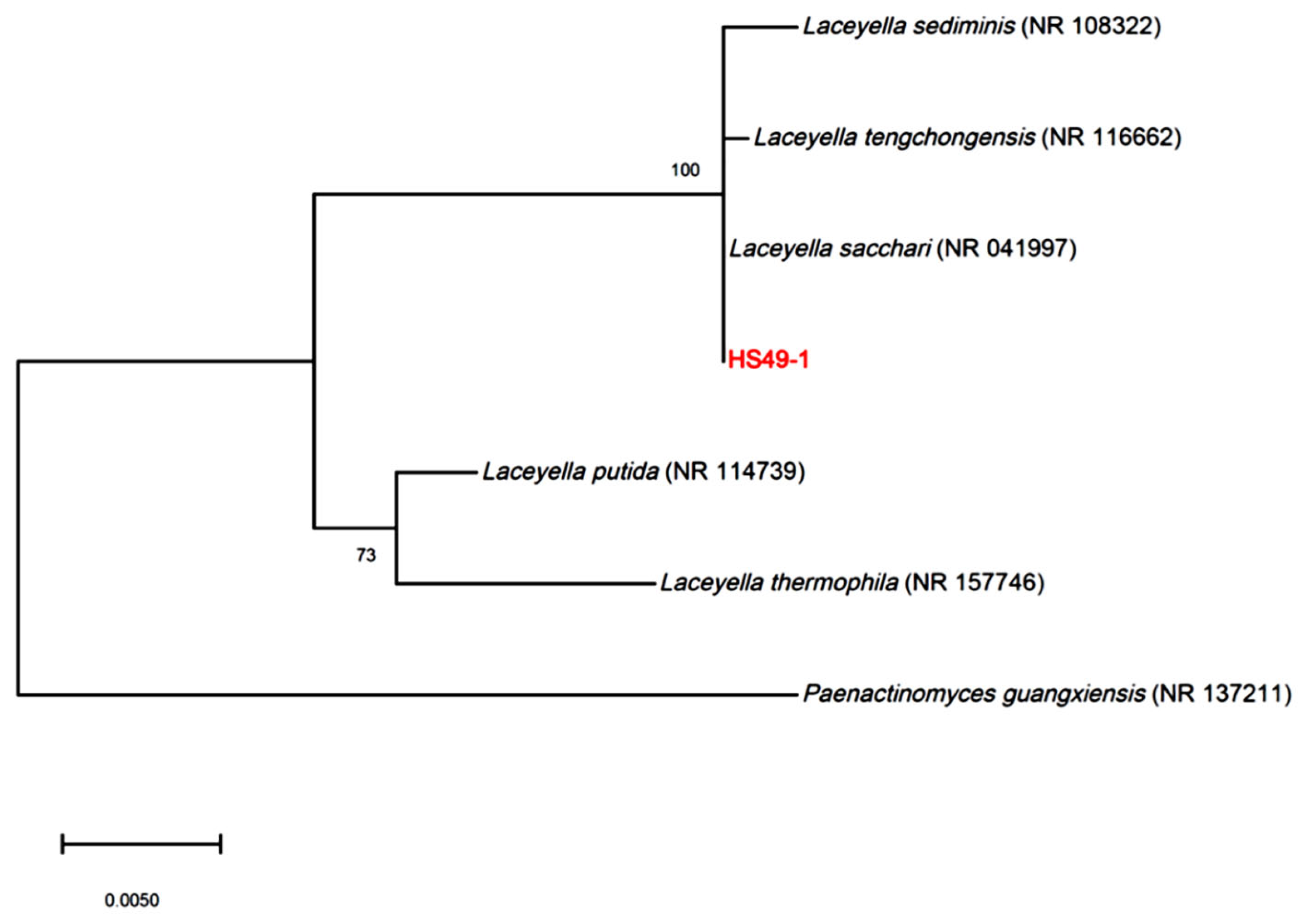 Genes 16 01330 g001