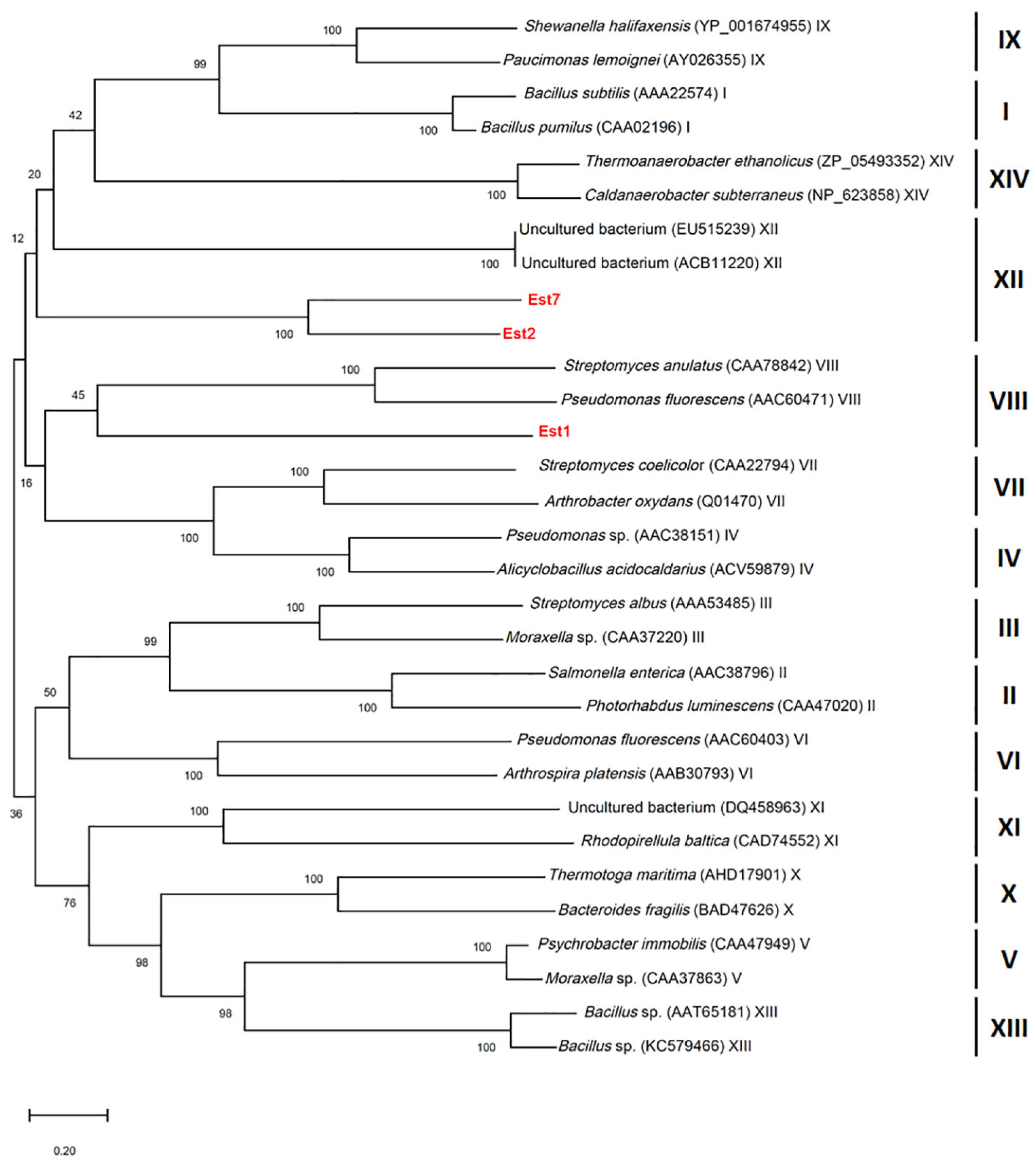 Genes 16 01330 g003