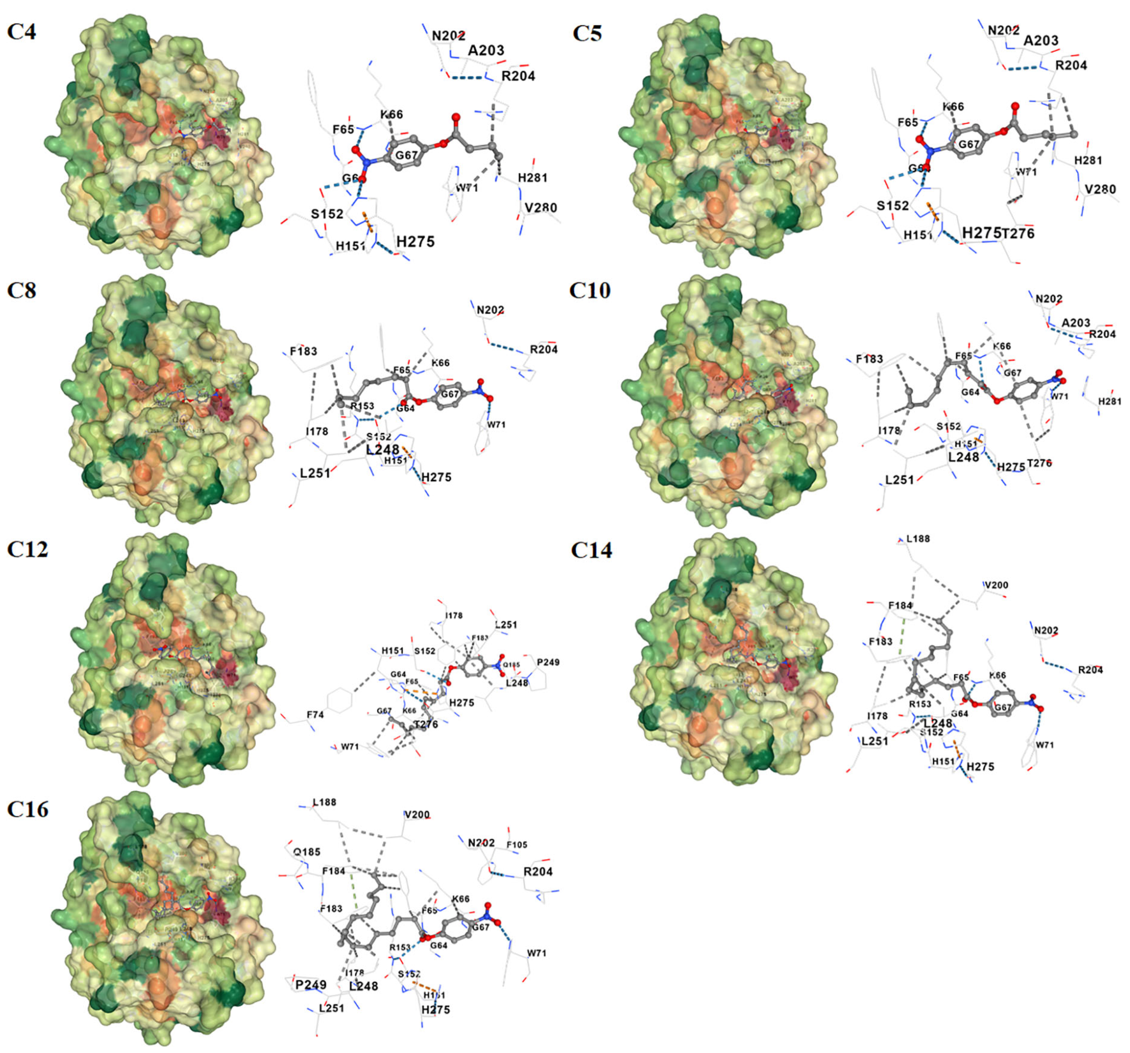 Genes 16 01330 g007