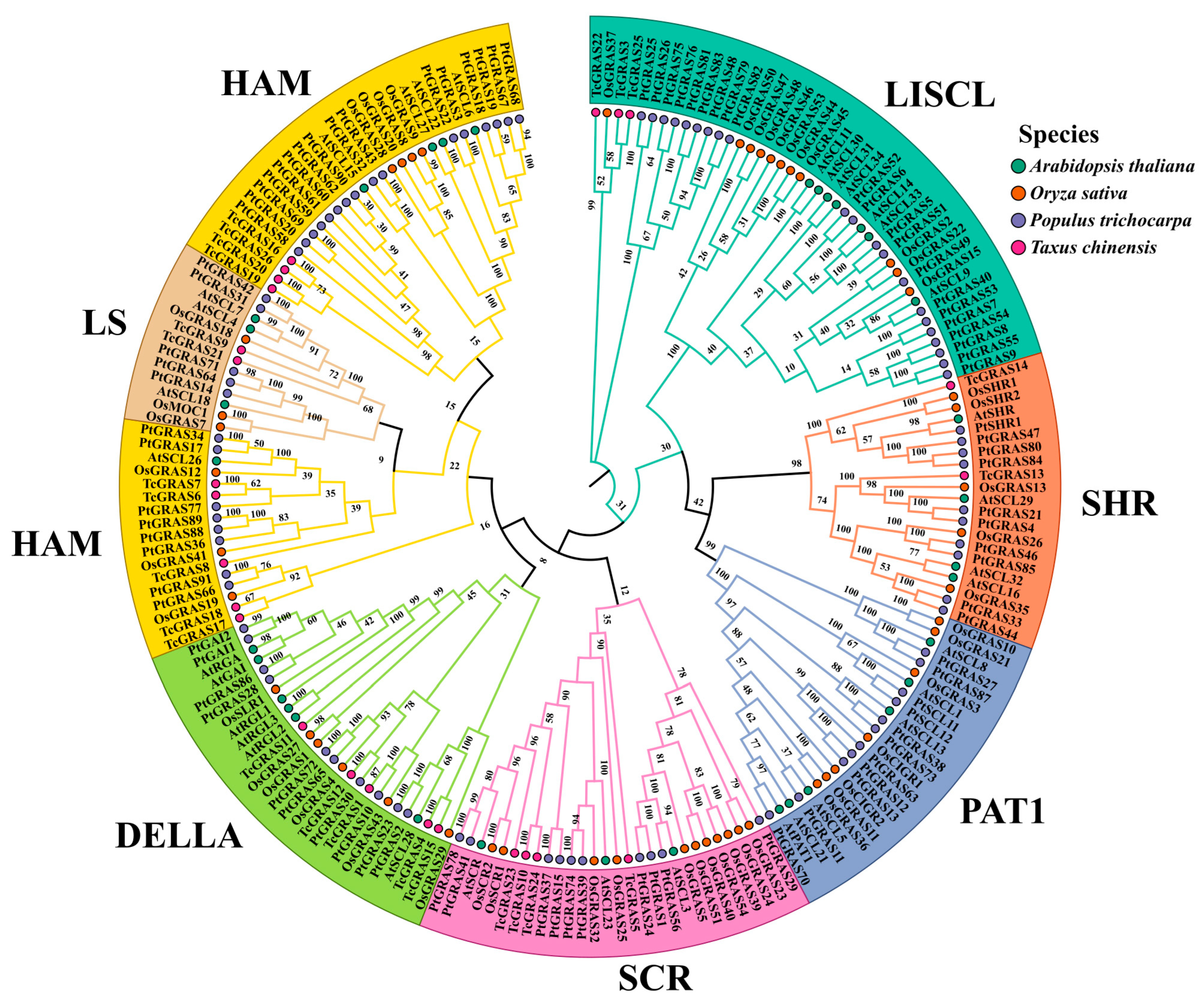 Genome-Wide Identification and Expression Profiling of the GRAS Gene ...