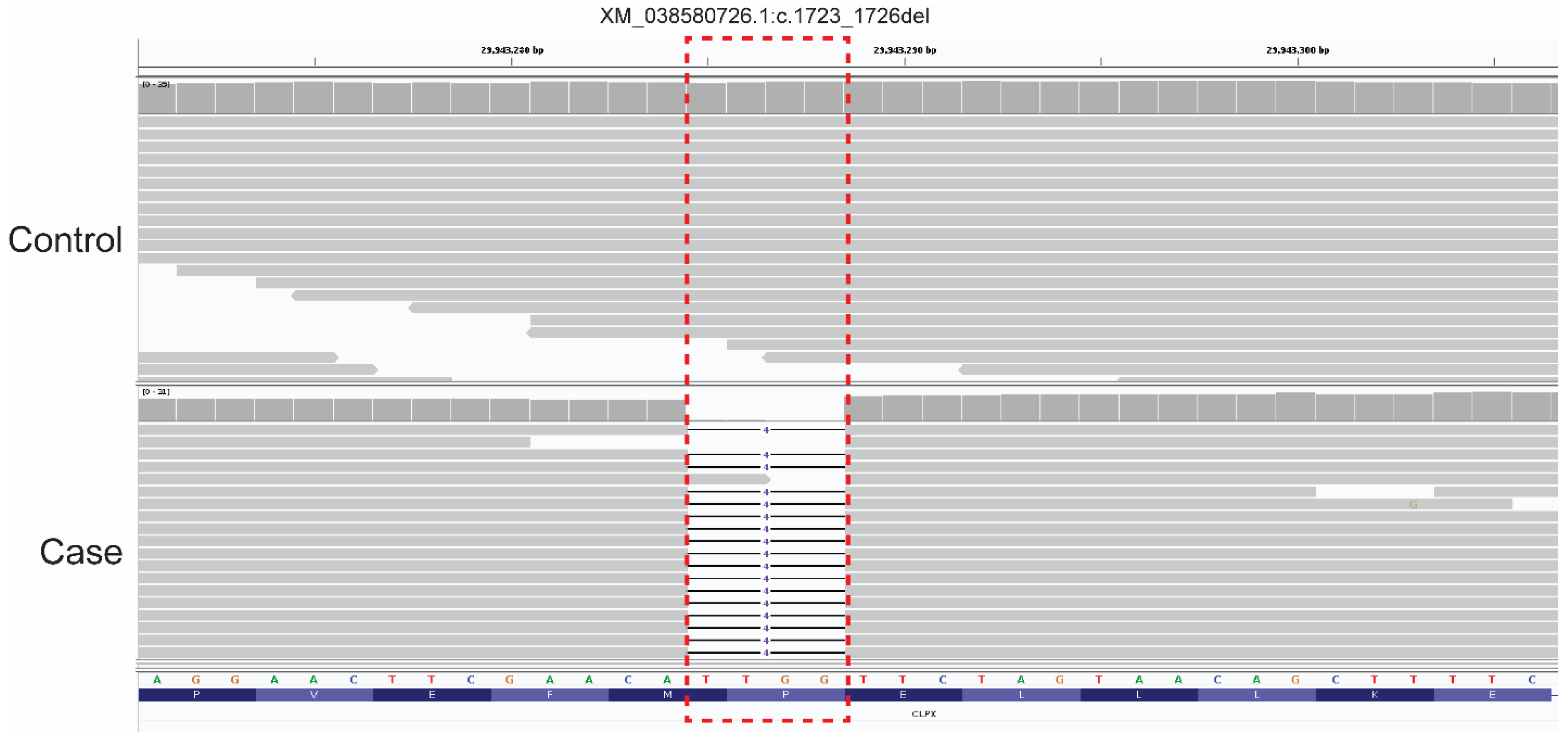 Genes 16 01359 g005 Genes 16 01359 g005