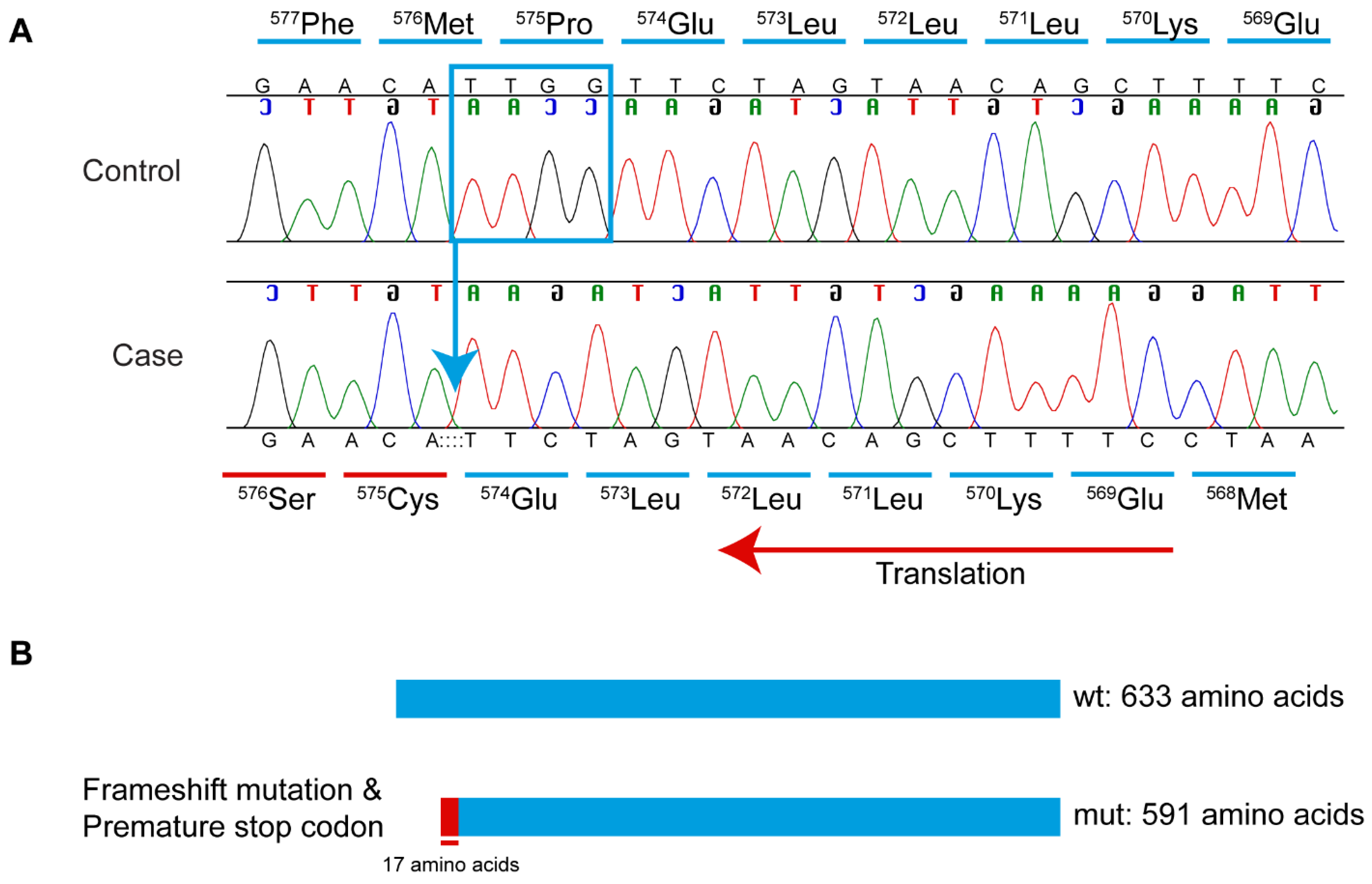 Genes 16 01359 g006 Genes 16 01359 g006