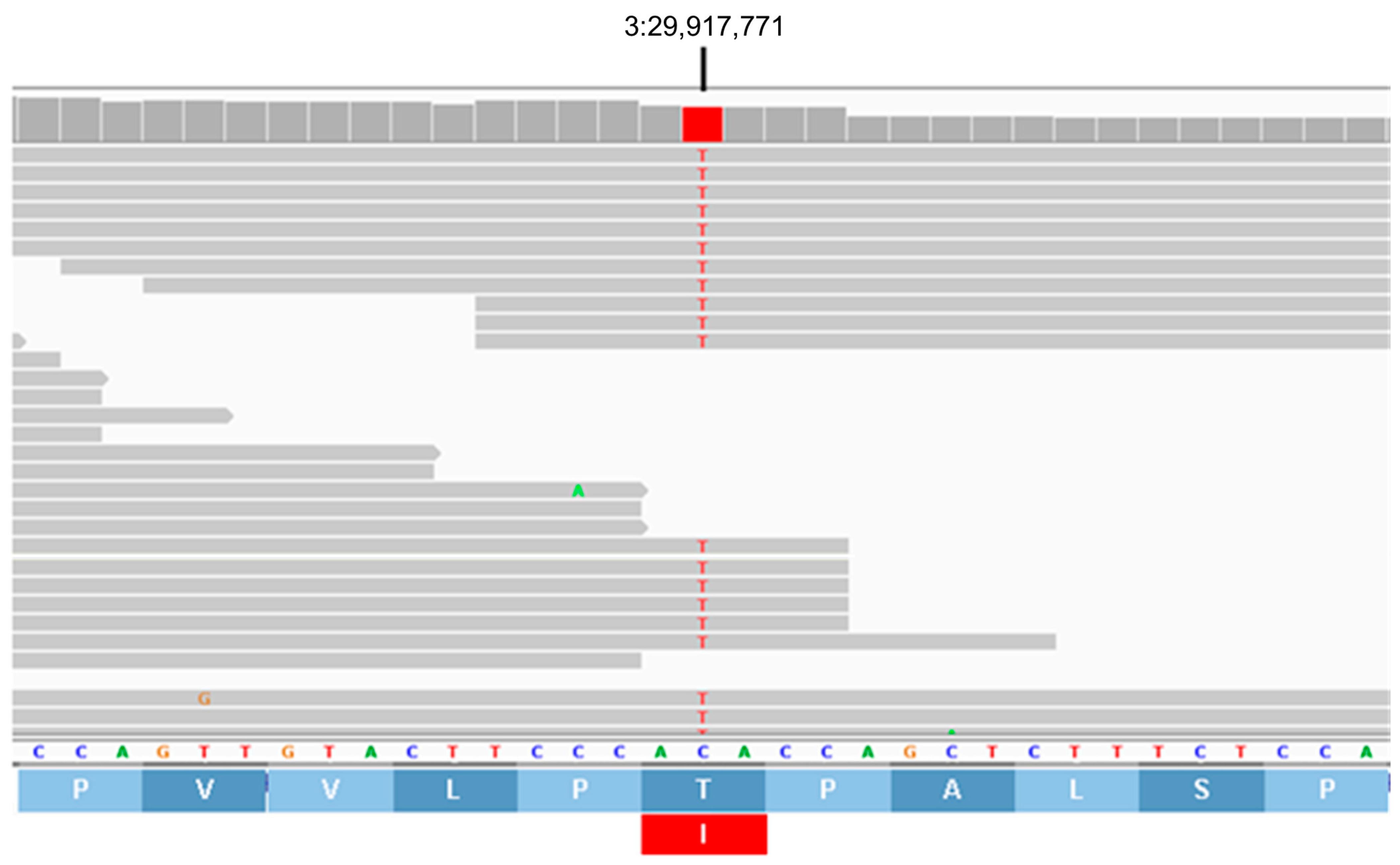 Genes 16 01370 g017 Genes 16 01370 g017