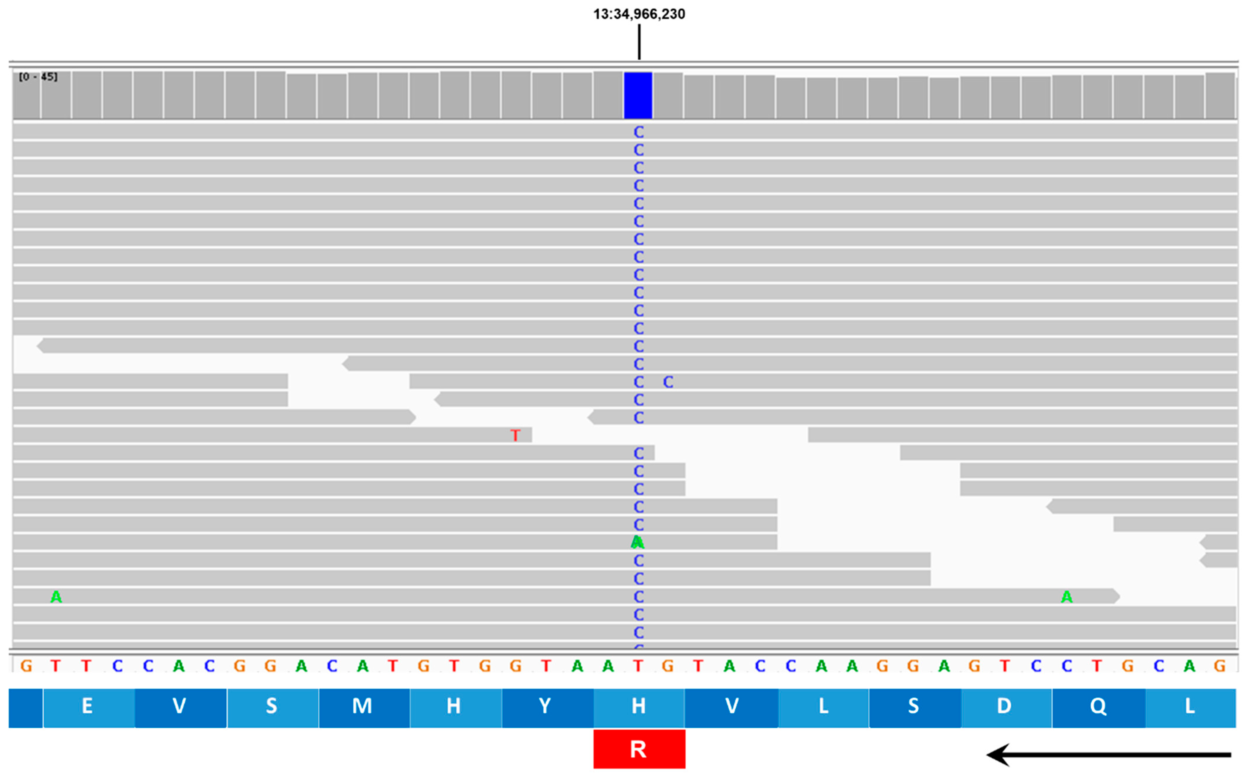 Genes 16 01370 g018 Genes 16 01370 g018