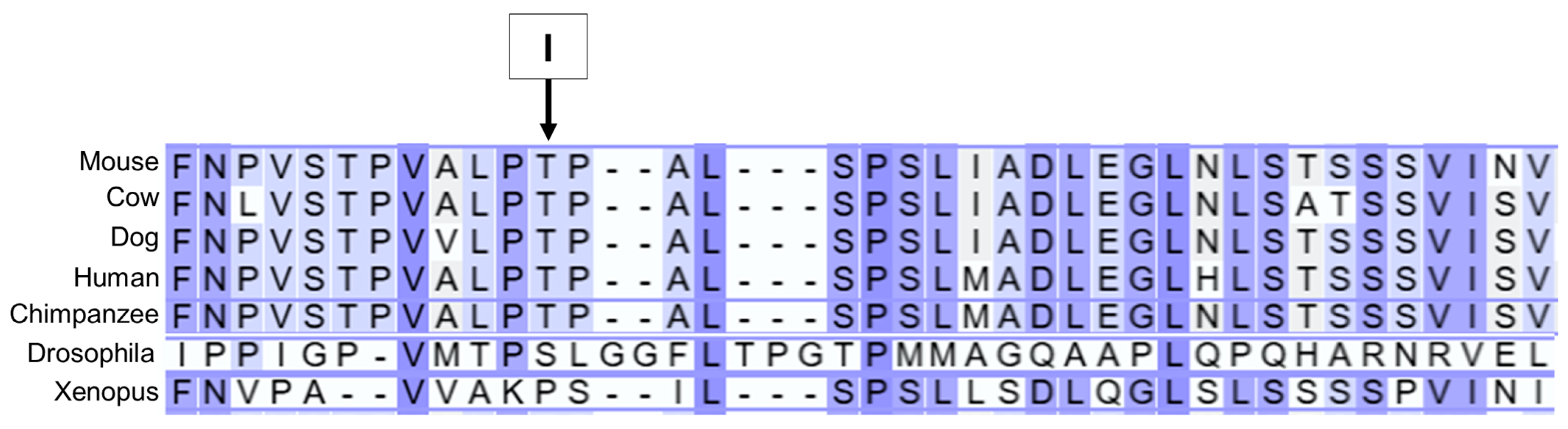 Genes 16 01370 g019 Genes 16 01370 g019