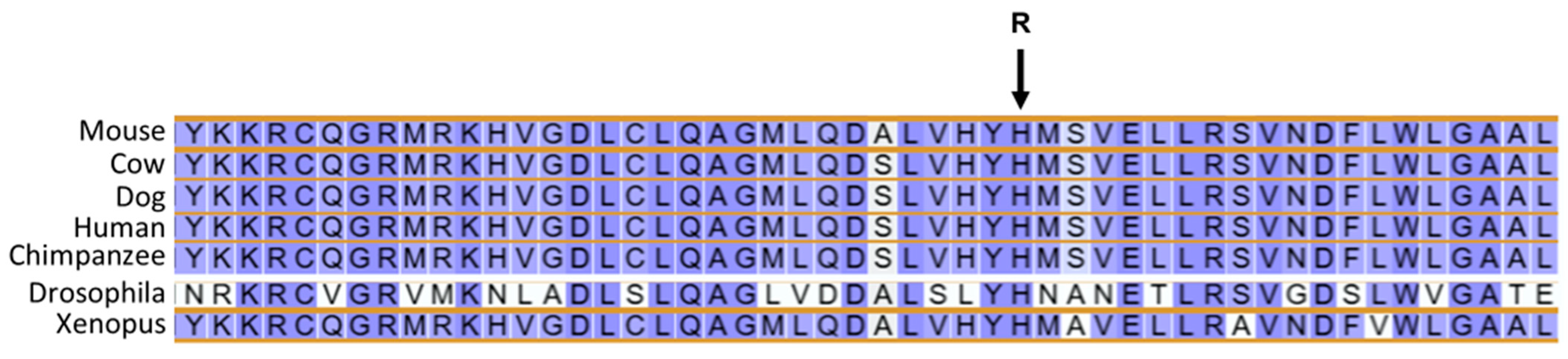 Genes 16 01370 g020 Genes 16 01370 g020