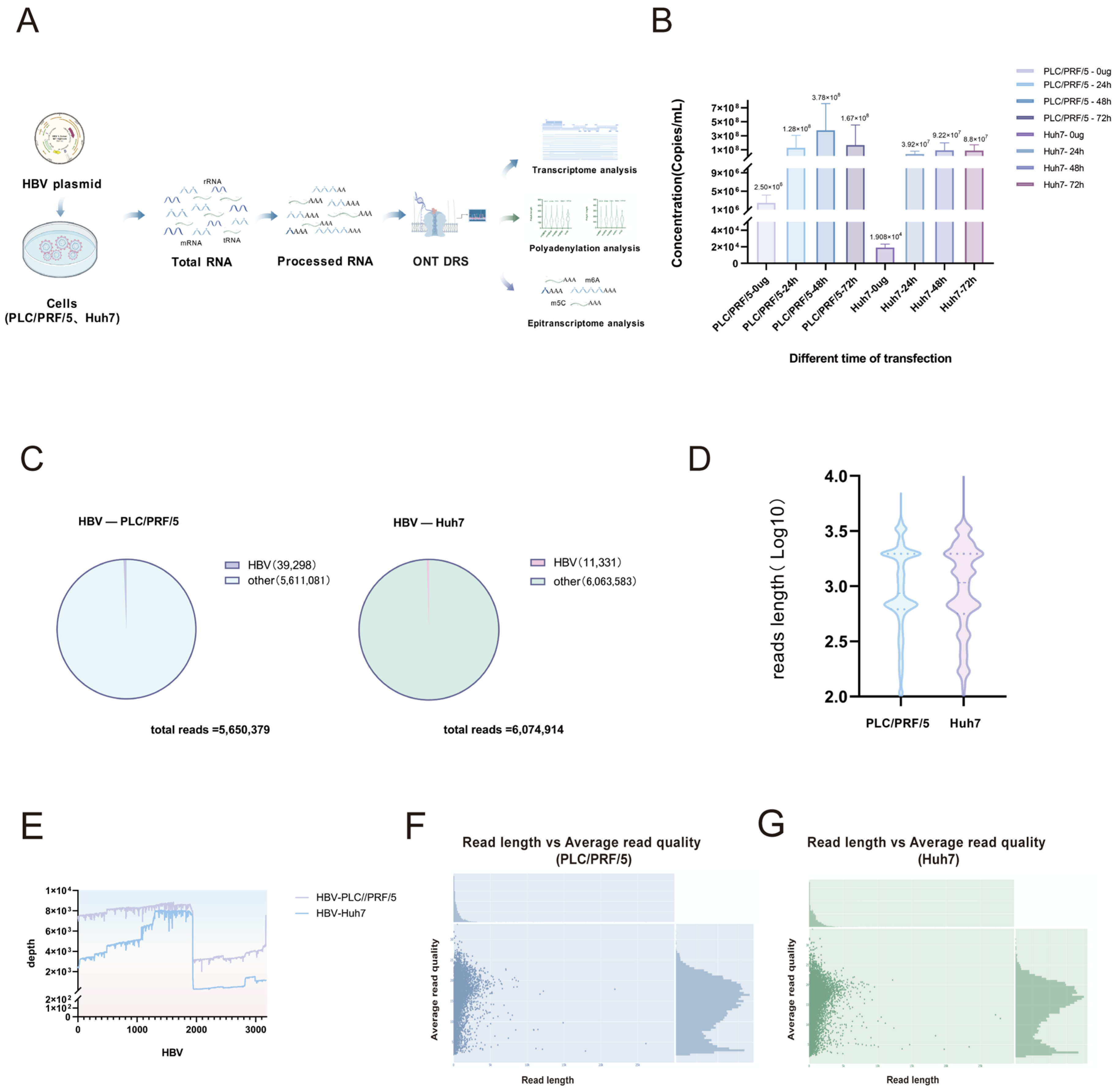 Genes 16 01397 g002 Genes 16 01397 g002