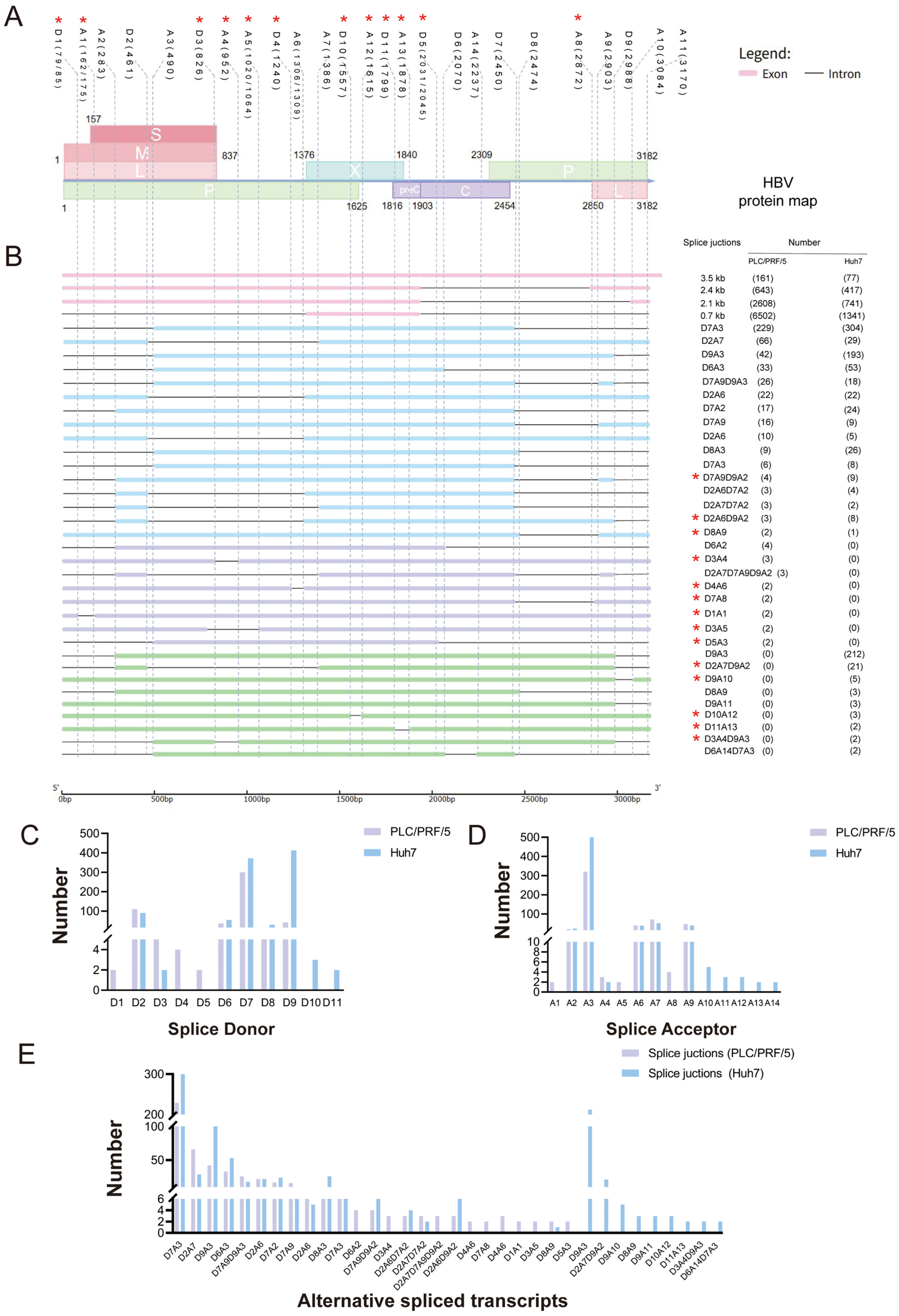 Genes 16 01397 g003 Genes 16 01397 g003