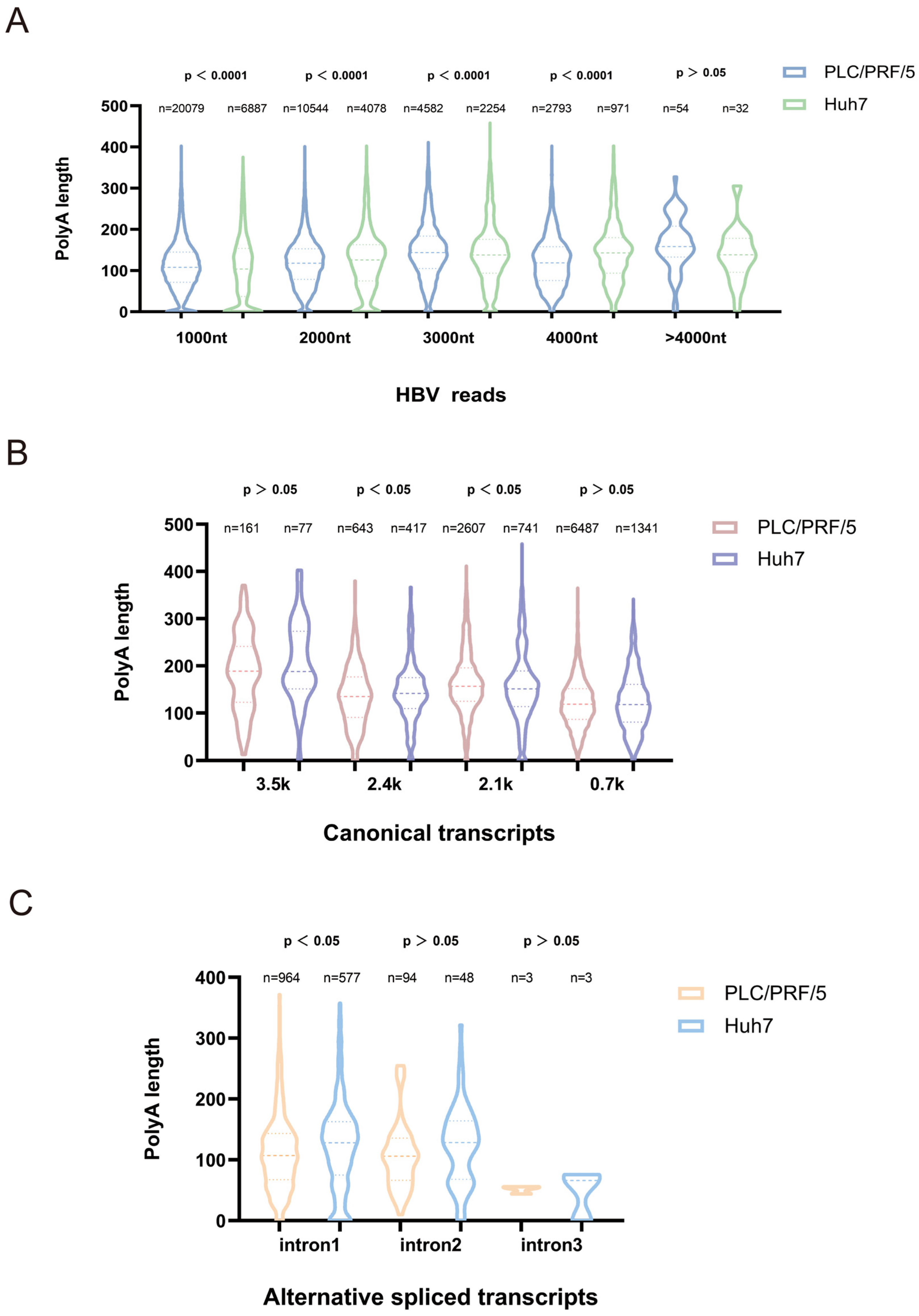 Genes 16 01397 g004 Genes 16 01397 g004