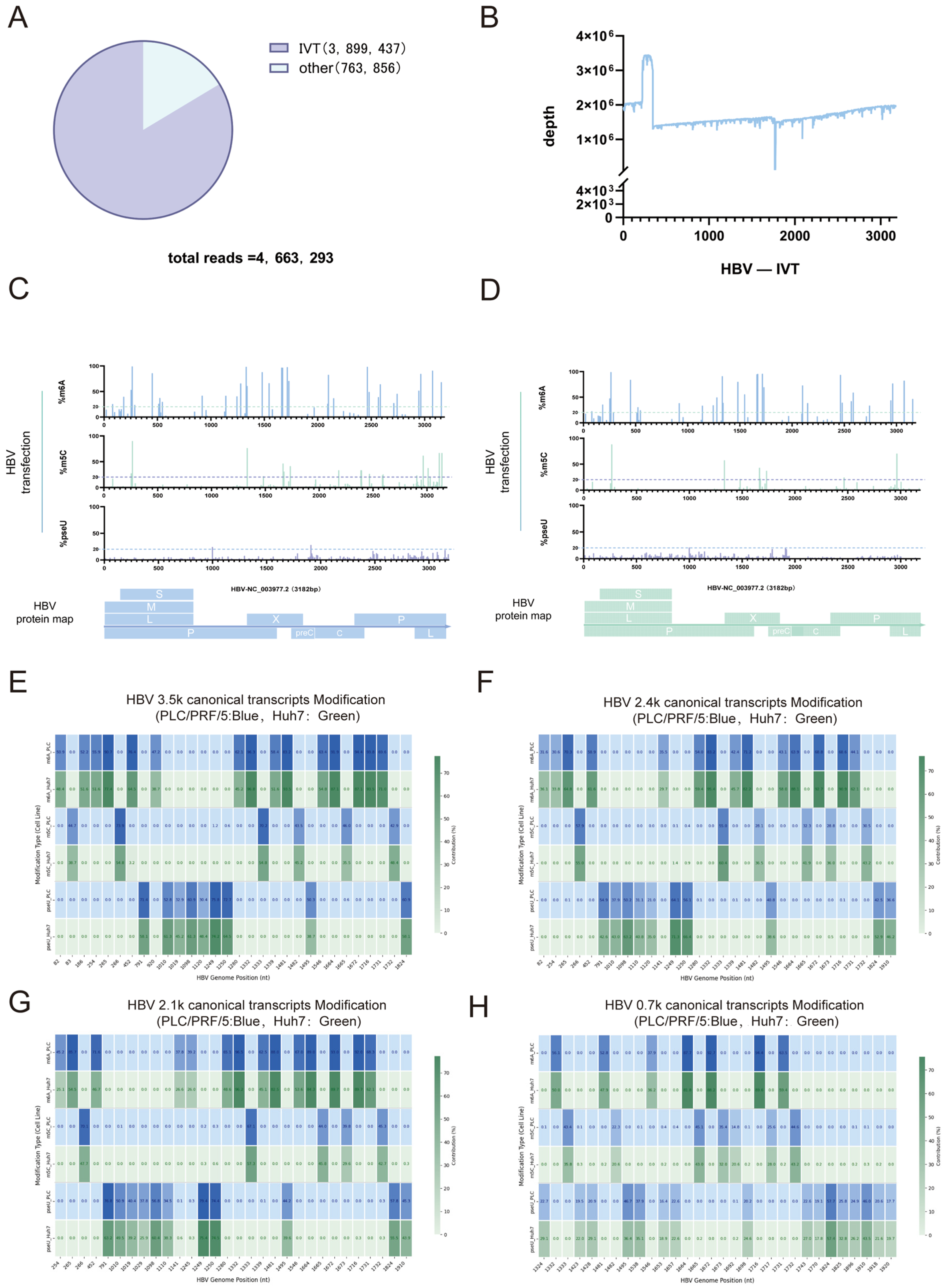 Genes 16 01397 g005 Genes 16 01397 g005