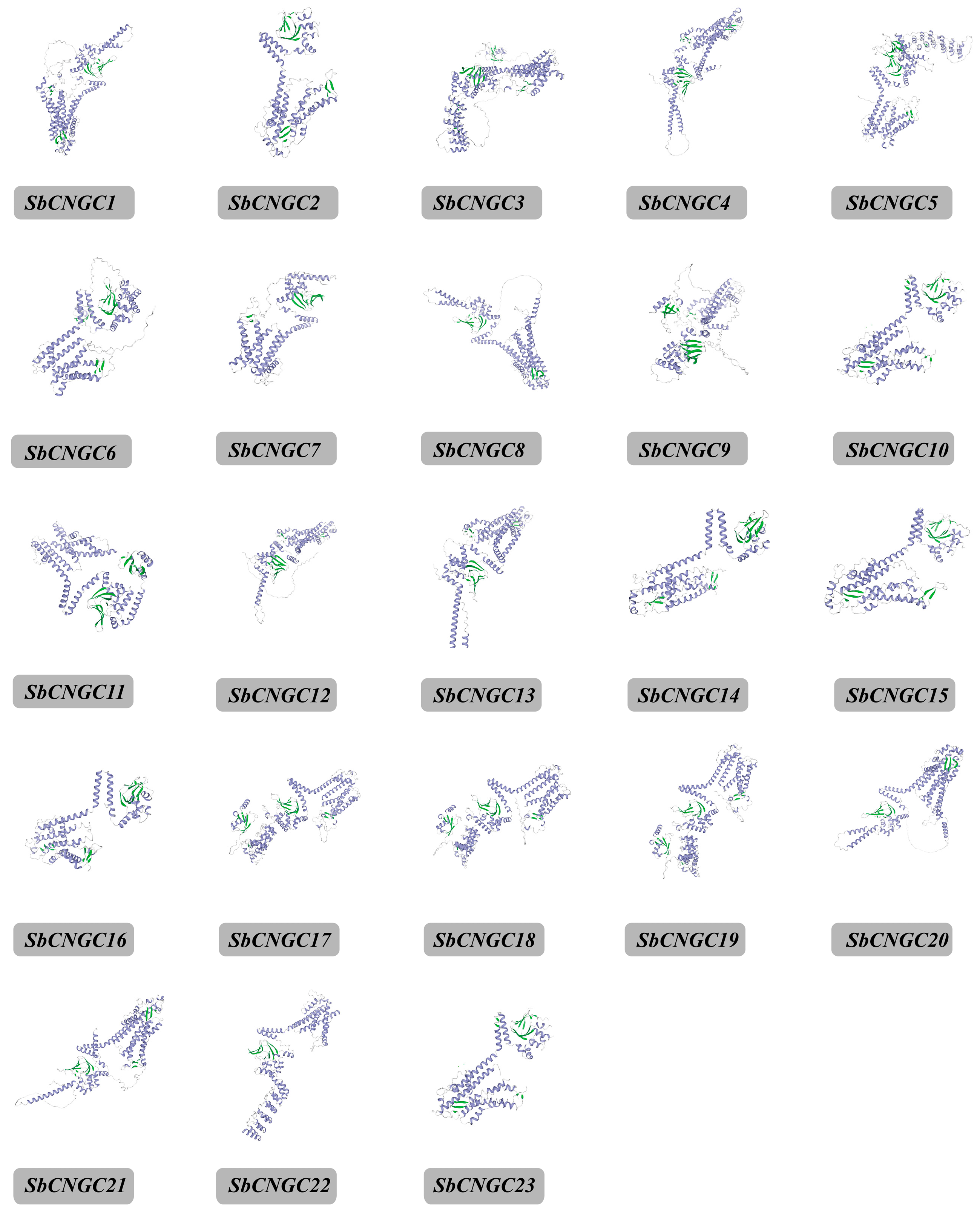 Genes 16 01405 g004 Genes 16 01405 g004