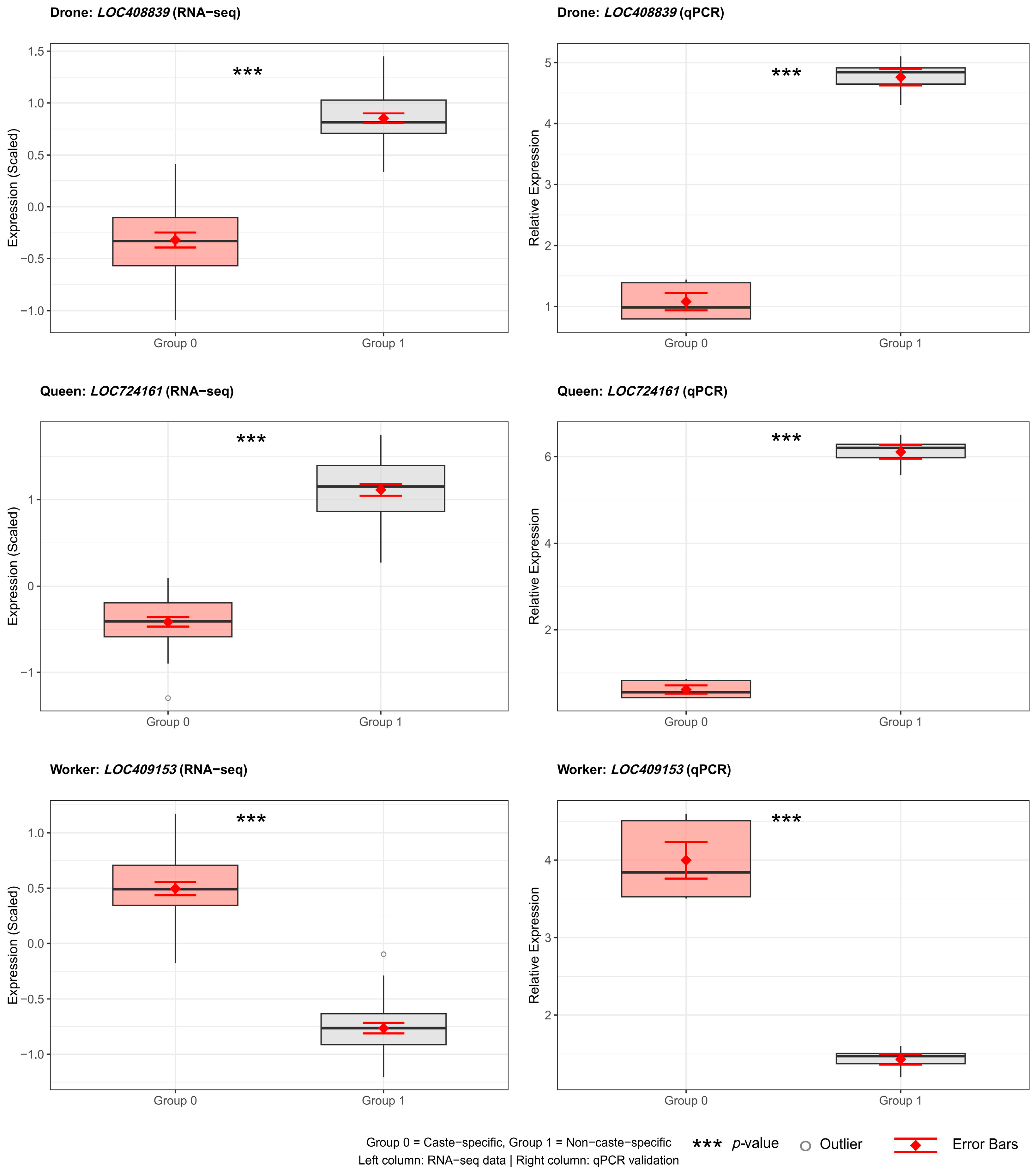 Genes 16 01409 g006 Genes 16 01409 g006
