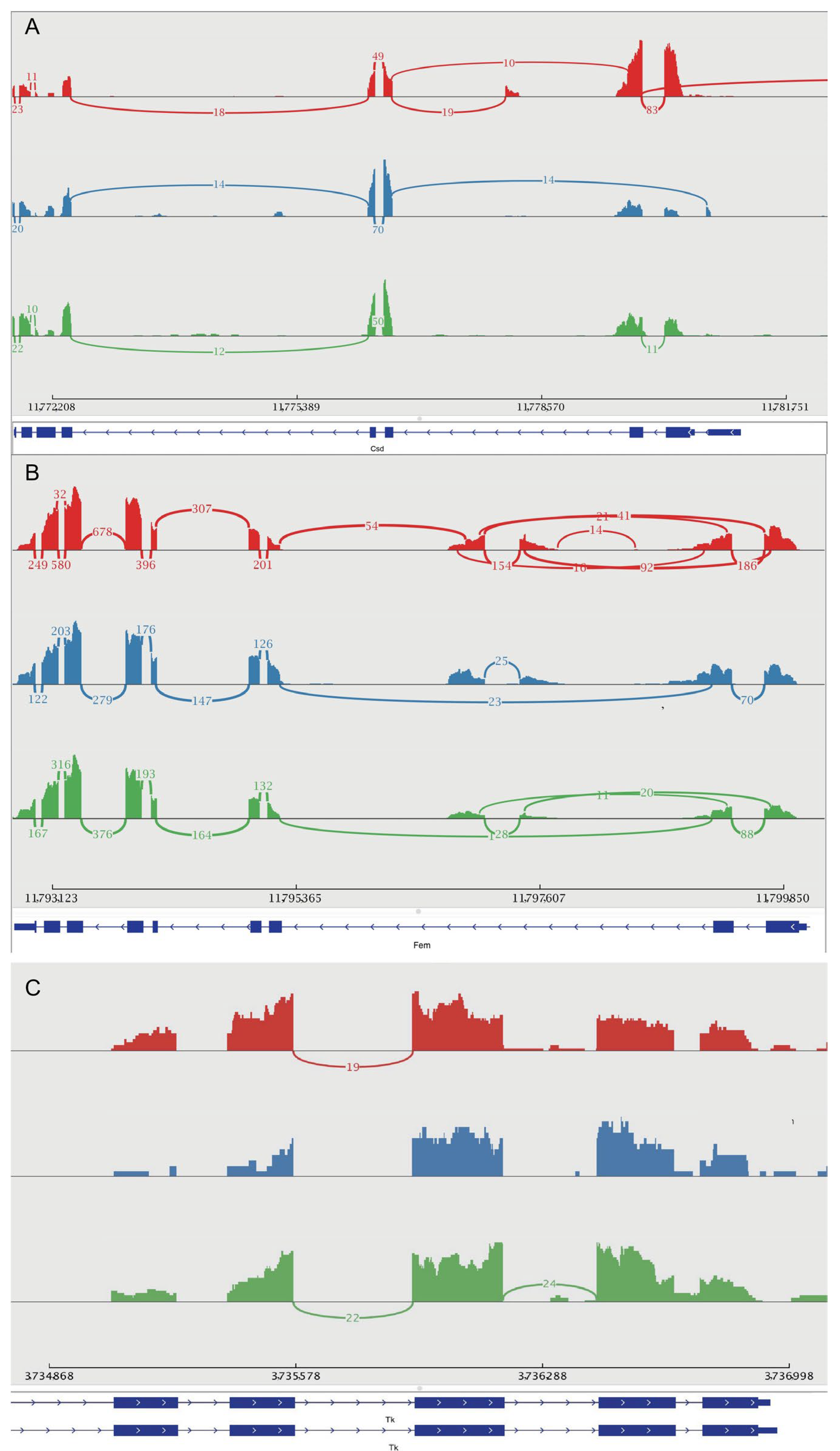 Genes 16 01409 g009 Genes 16 01409 g009