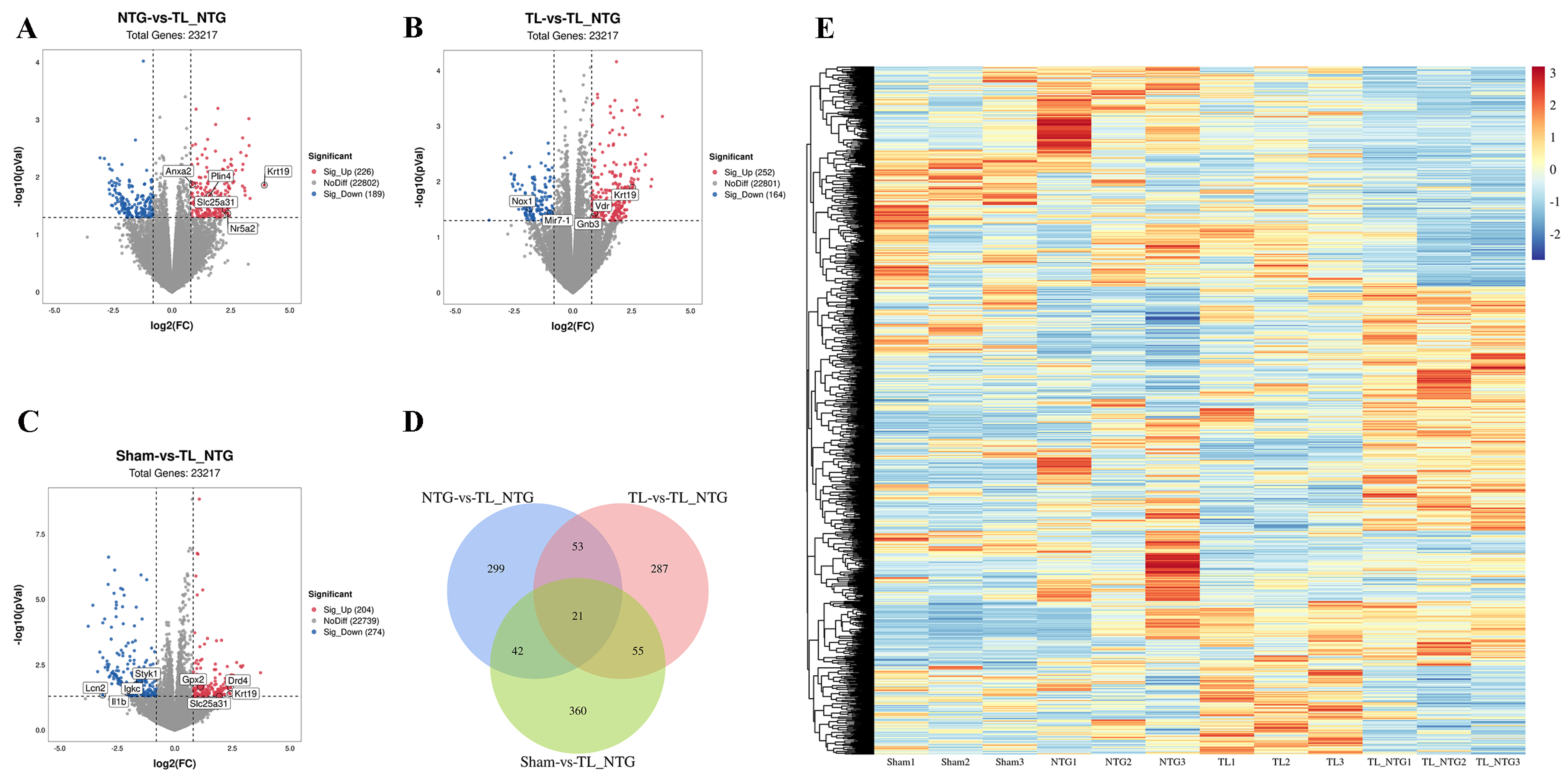 Genes 16 01435 g001 Genes 16 01435 g001
