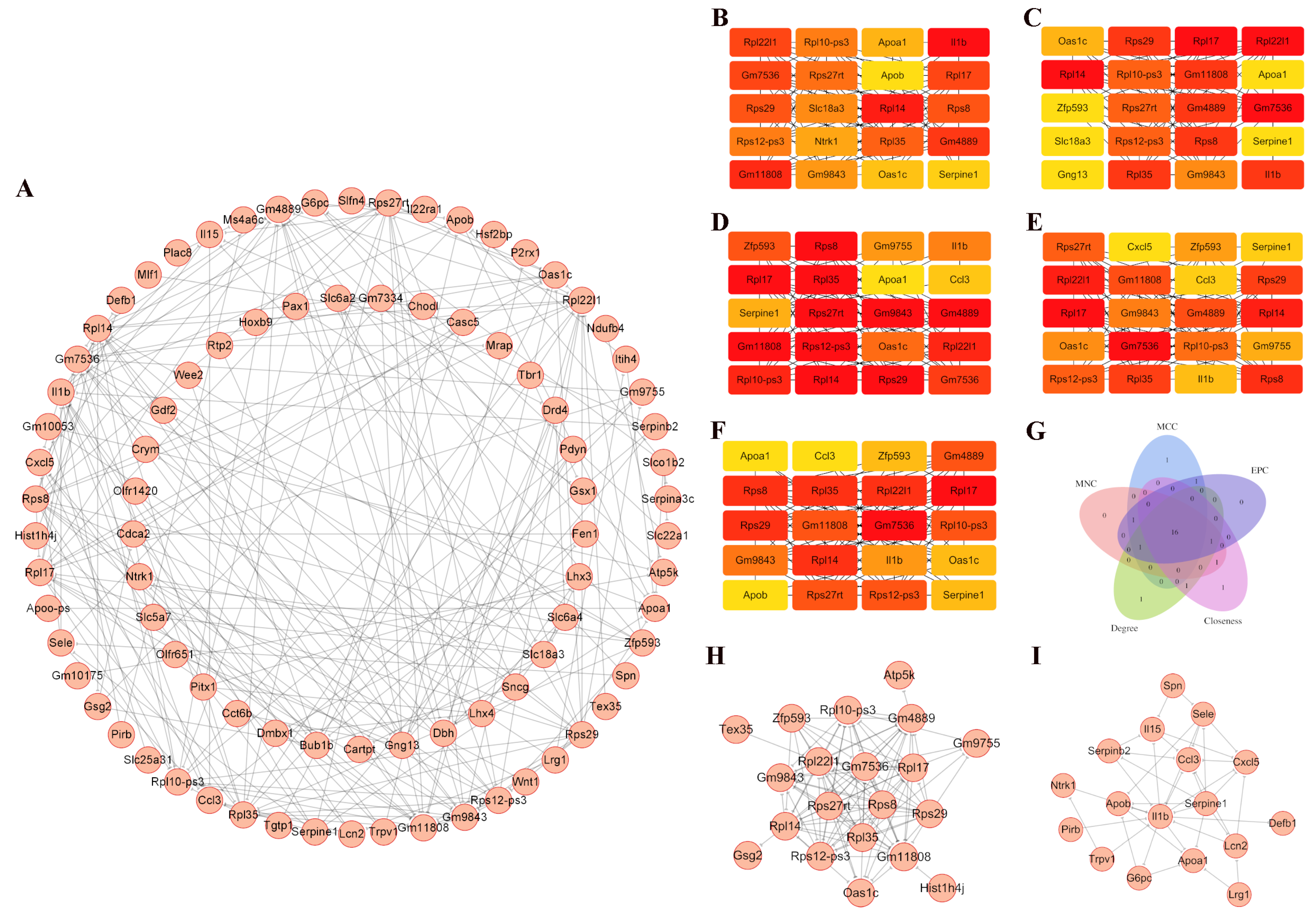 Genes 16 01435 g003 Genes 16 01435 g003