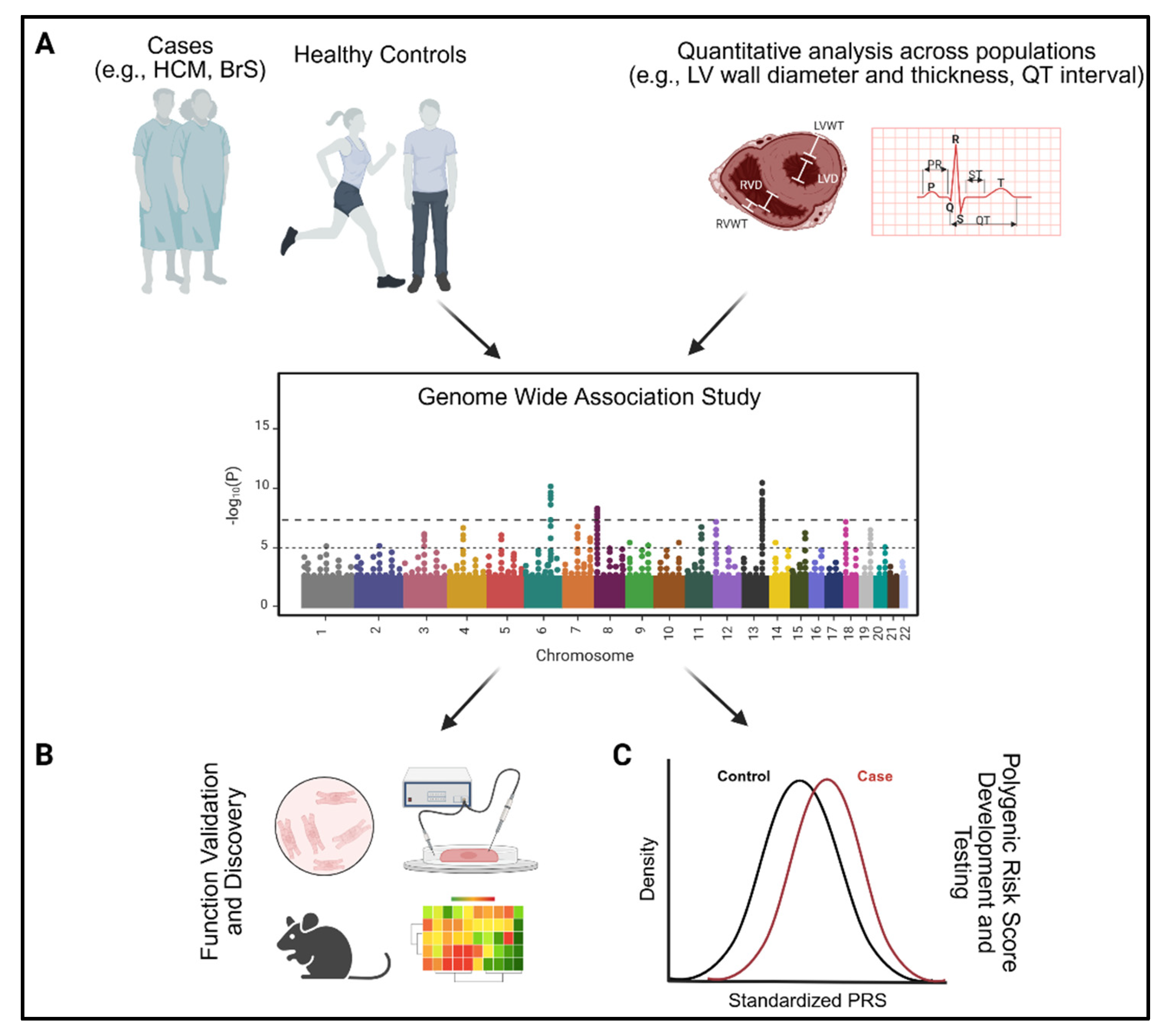 Genes 16 01448 g002