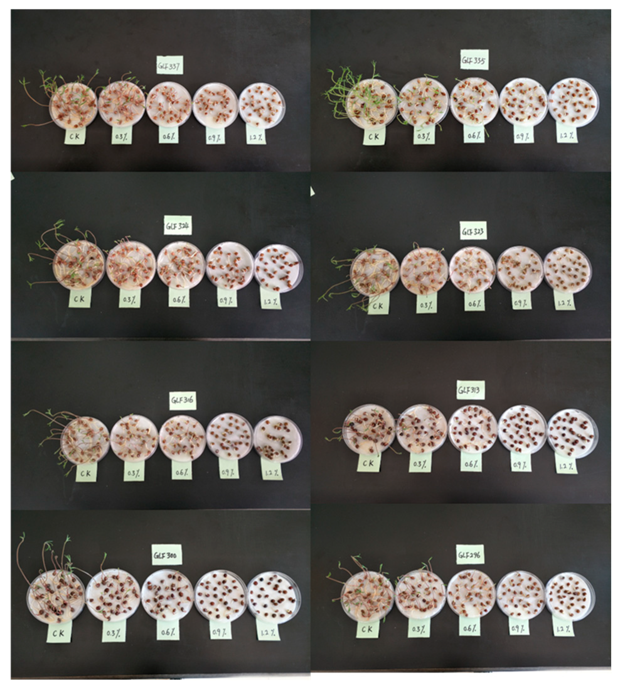 Genes 17 00032 g001 Genes 17 00032 g001