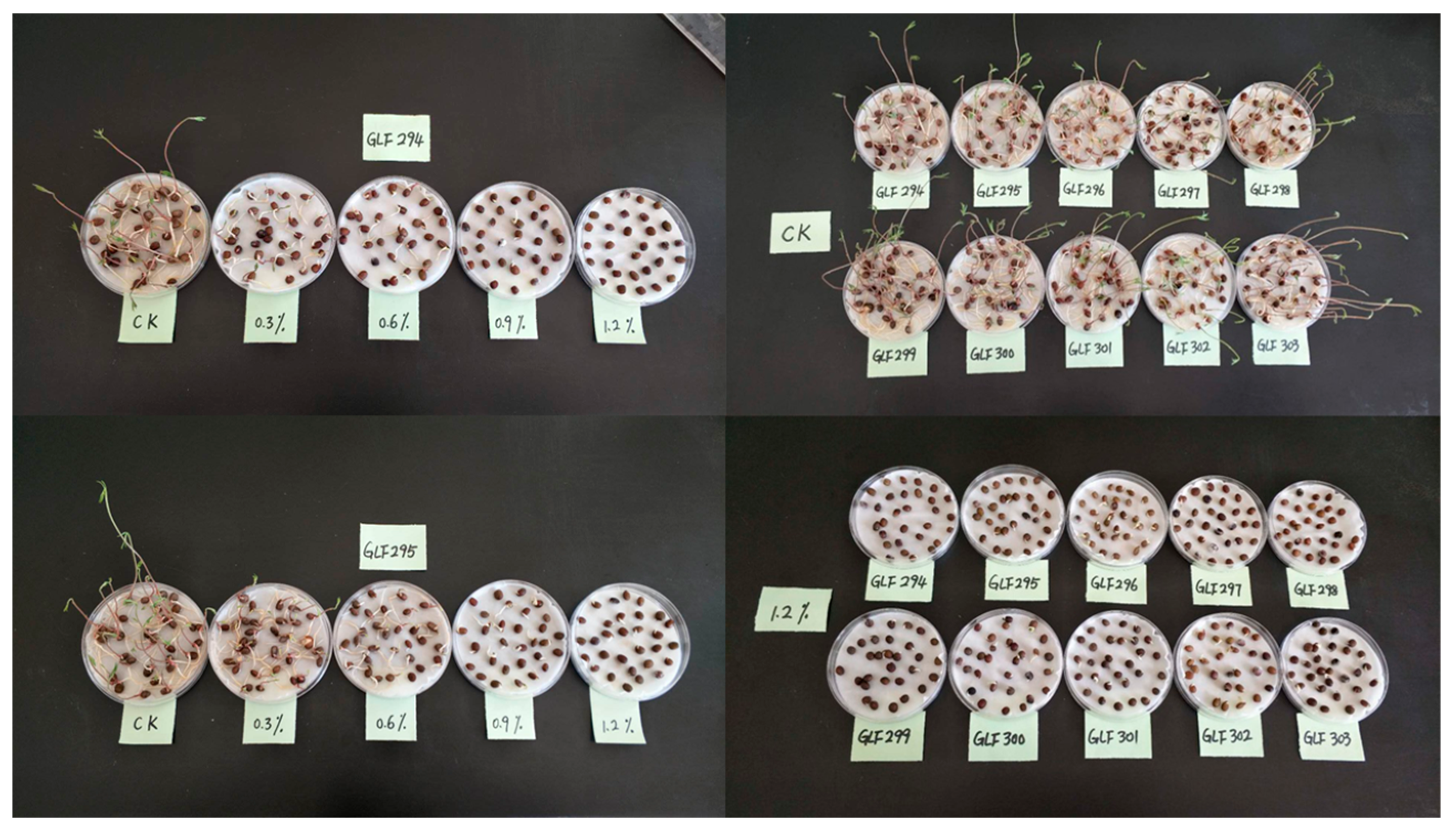 Genes 17 00032 g002 Genes 17 00032 g002