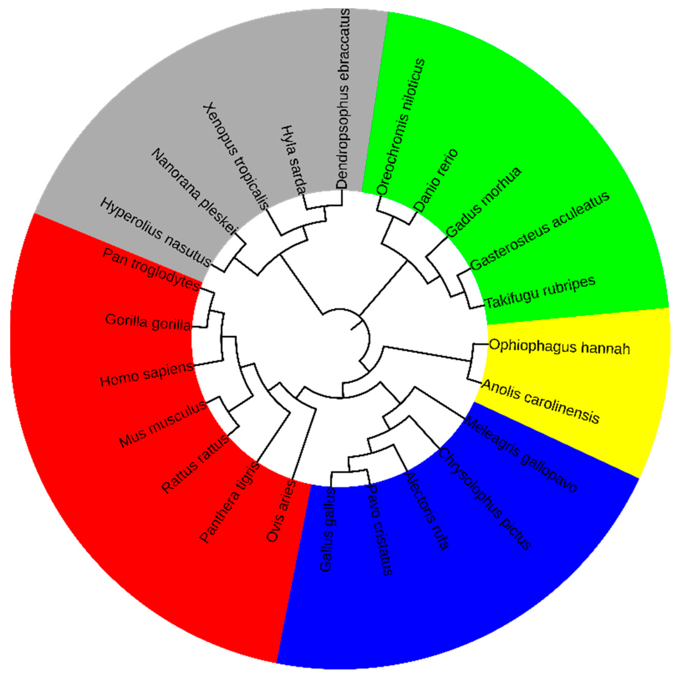 Genes 17 00039 g004 Genes 17 00039 g004