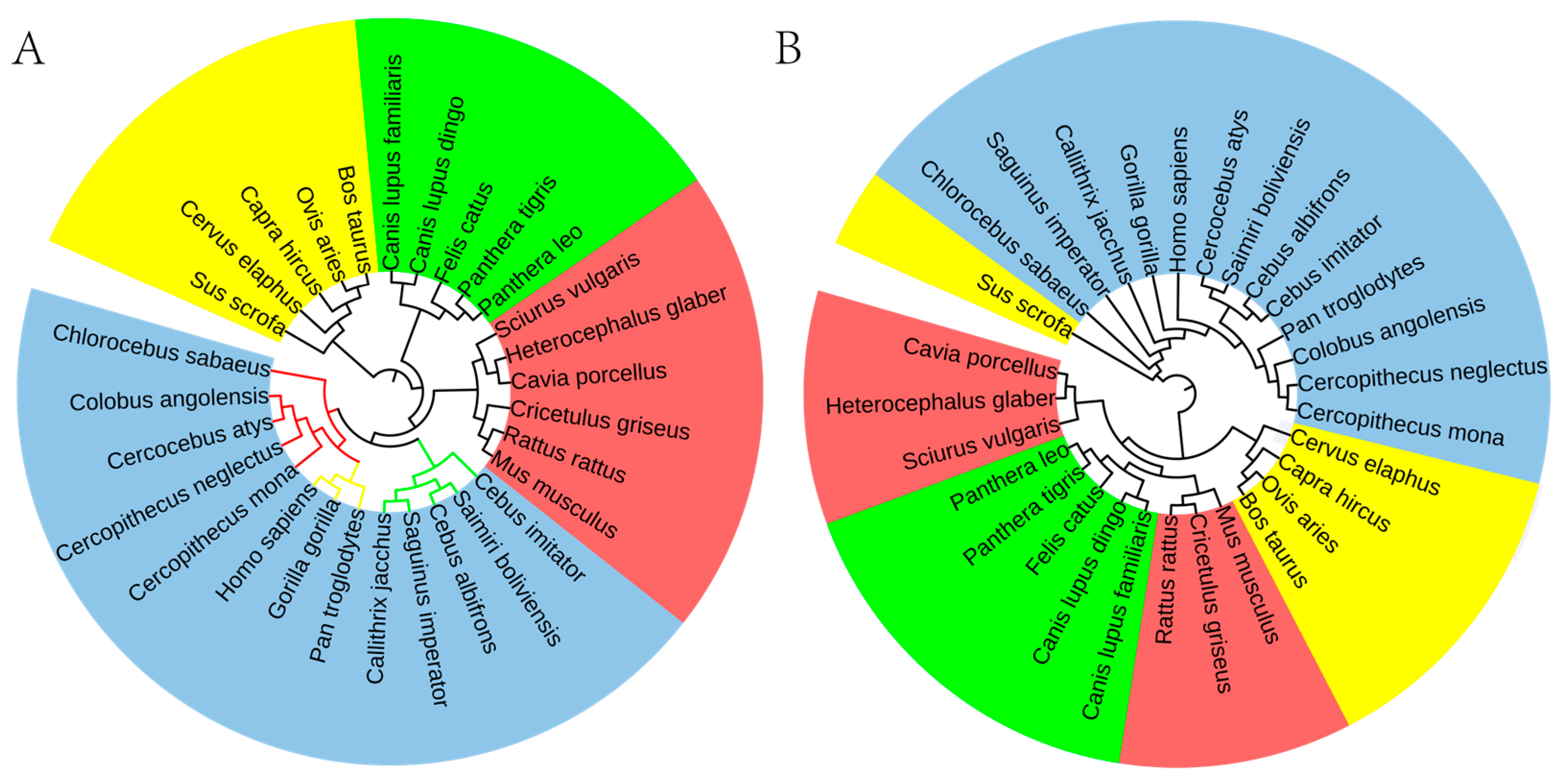 Genes 17 00039 g005 Genes 17 00039 g005